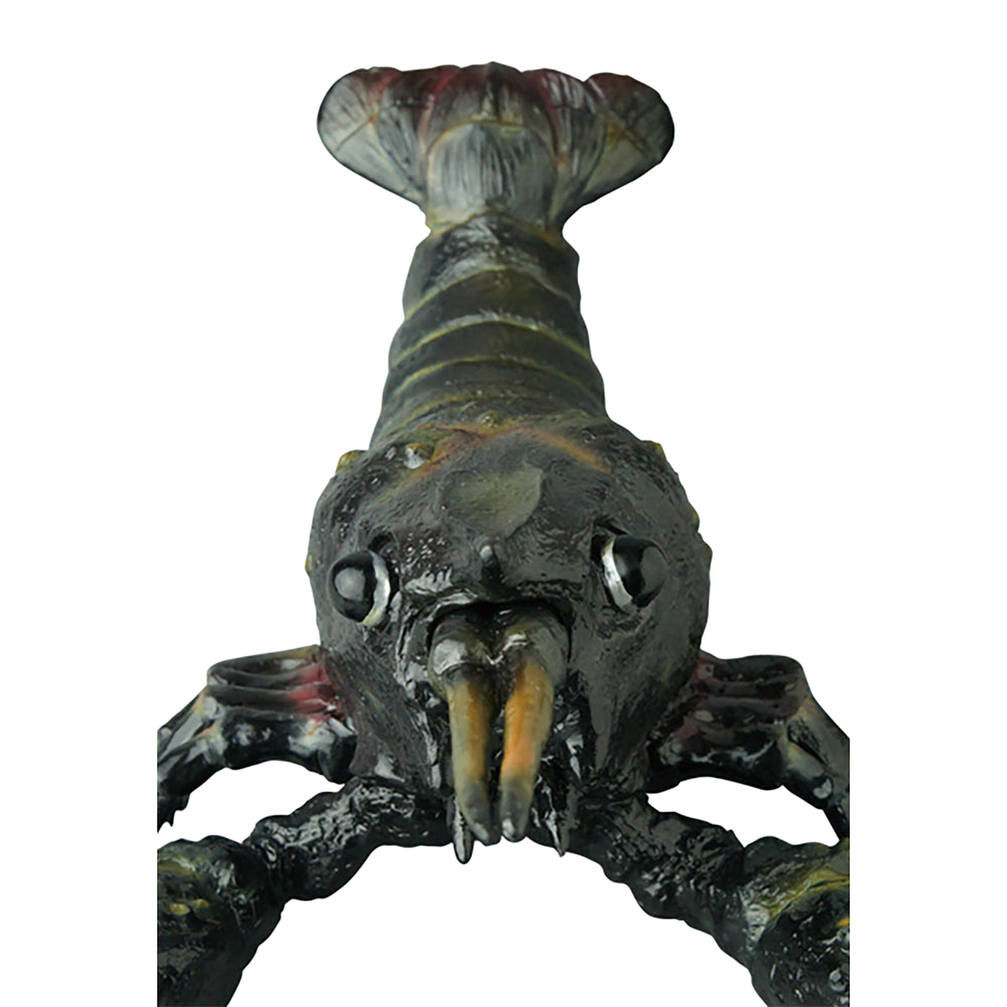 ザリガニ怪獣 クロオオザリガニ