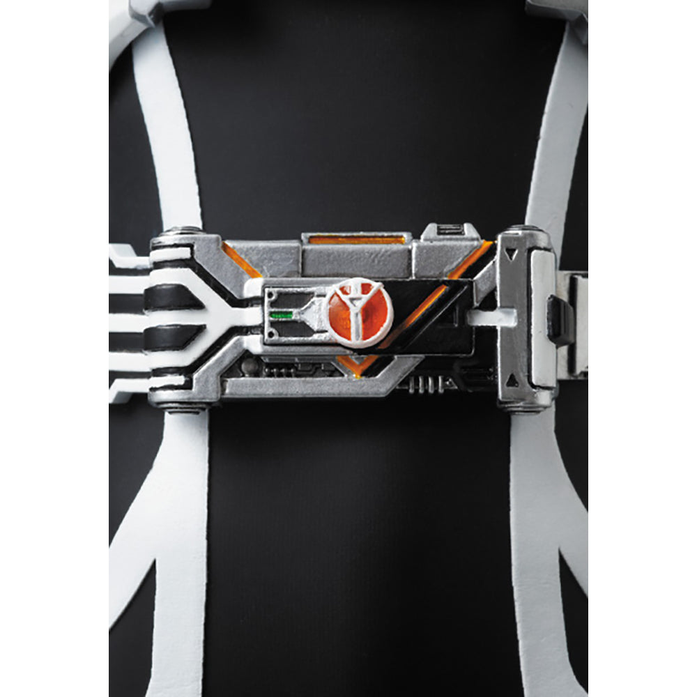 RAH DX 仮面ライダーデルタ_4