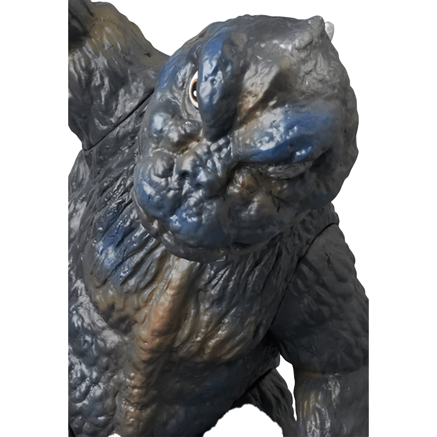CCP ヘドゴジ