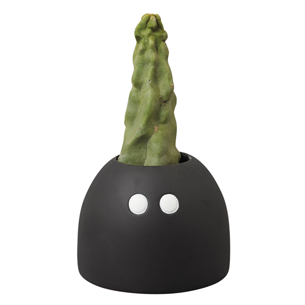 MLE Geneviève Gauckler SERIES Plants Pot_0
