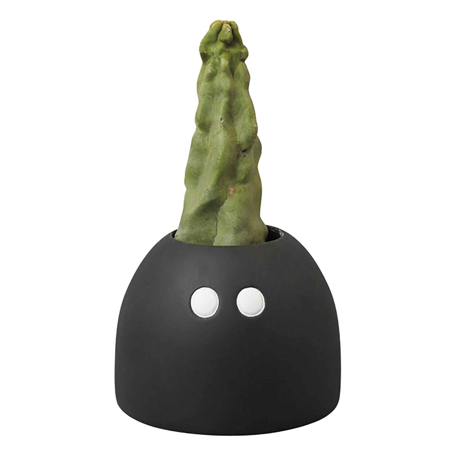 MLE Geneviève Gauckler SERIES Plants Pot