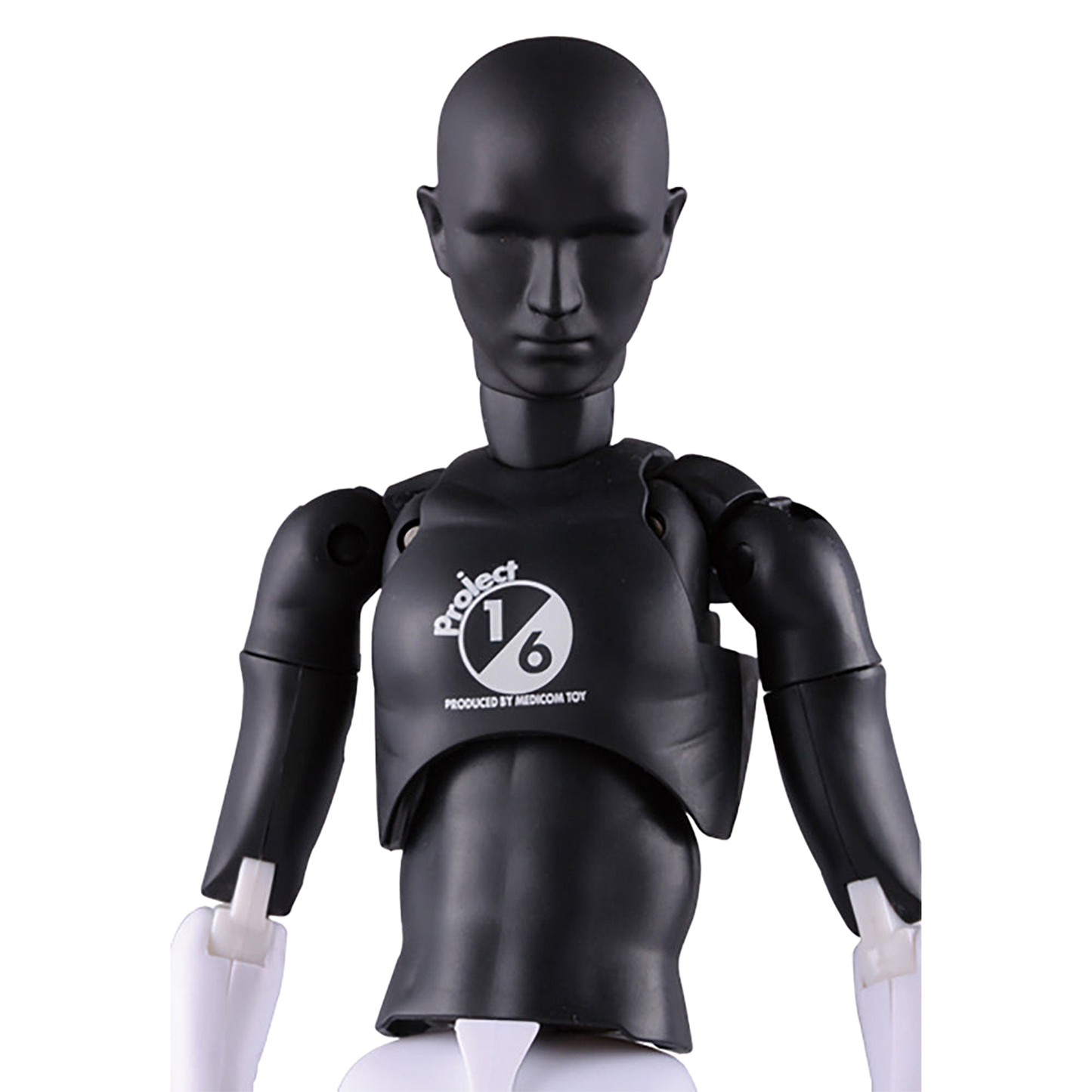 RAH301改 PROJECT 1/6 Ver.