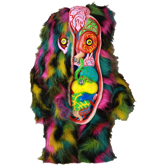 SHELTERBANK Hedra Complete Anatomy Illustration (Second 3)《Lottery item. Cannot be purchased together. Scheduled to be shipped in late June 2025. Lottery period is until  June 15th.》
