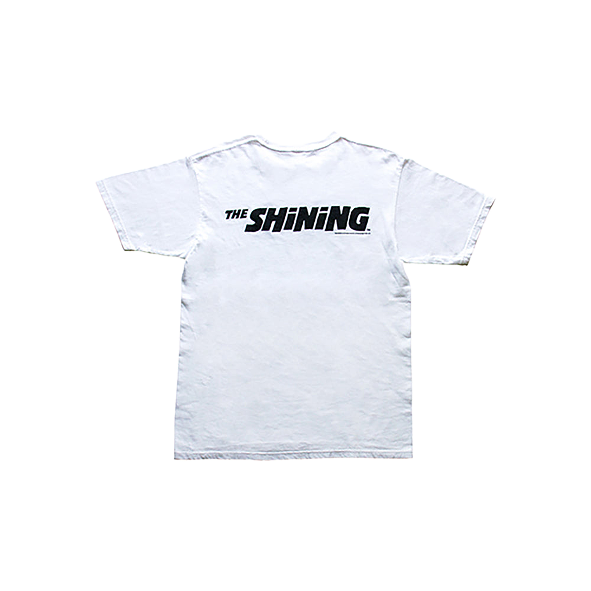 Noodle×THE SHiNiNG graphicT WHITE／BLACK