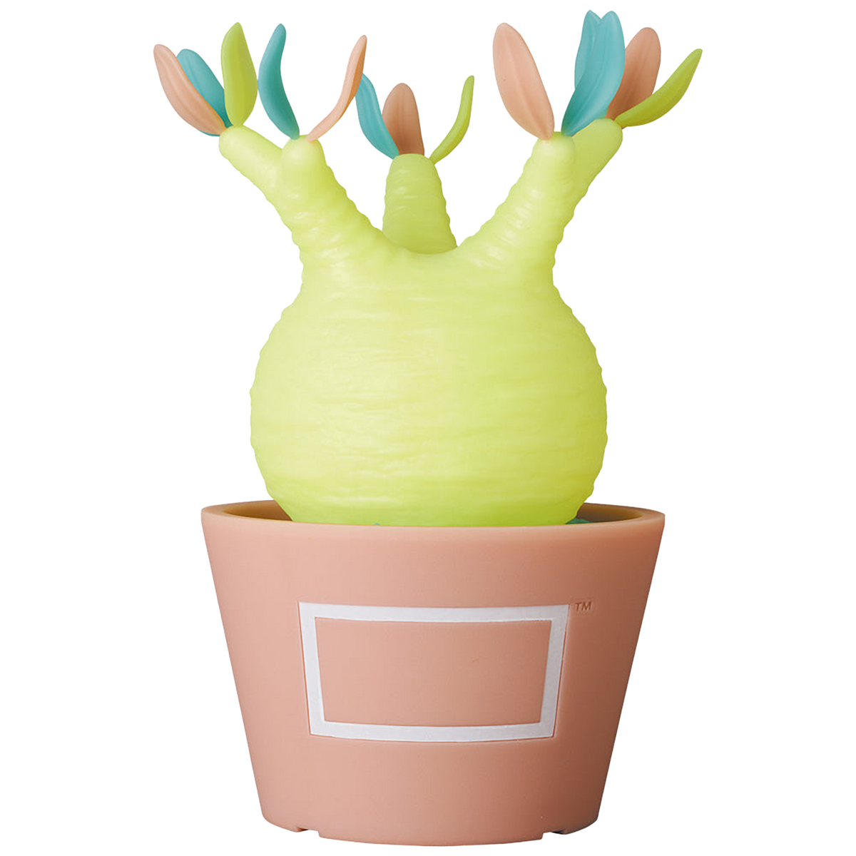 VCD Pachypodium Gracilius Var. MEDICOM TOY