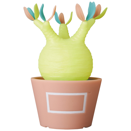VCD Pachypodium Gracilius Var. MEDICOM TOY
