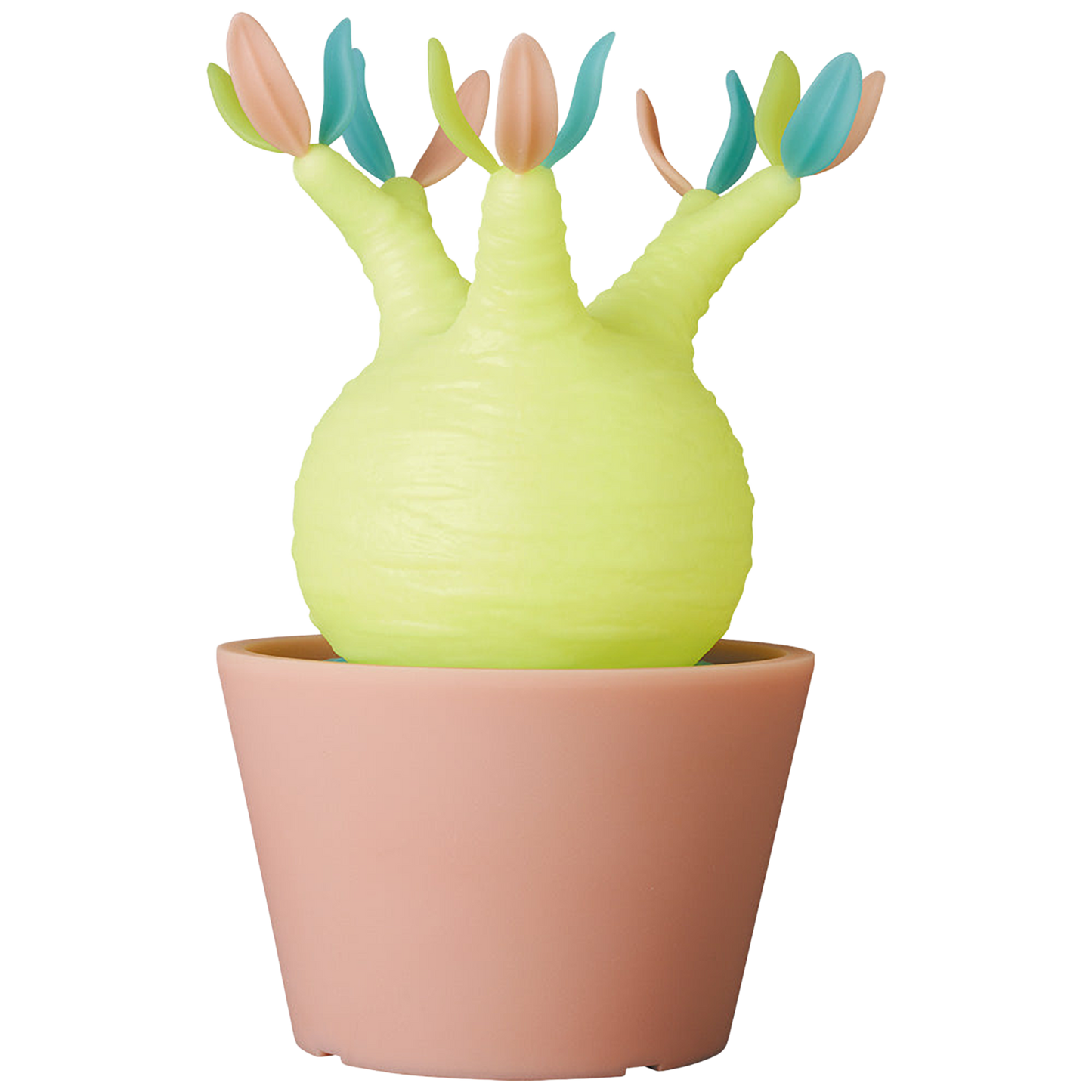 VCD Pachypodium Gracilius Var. MEDICOM TOY