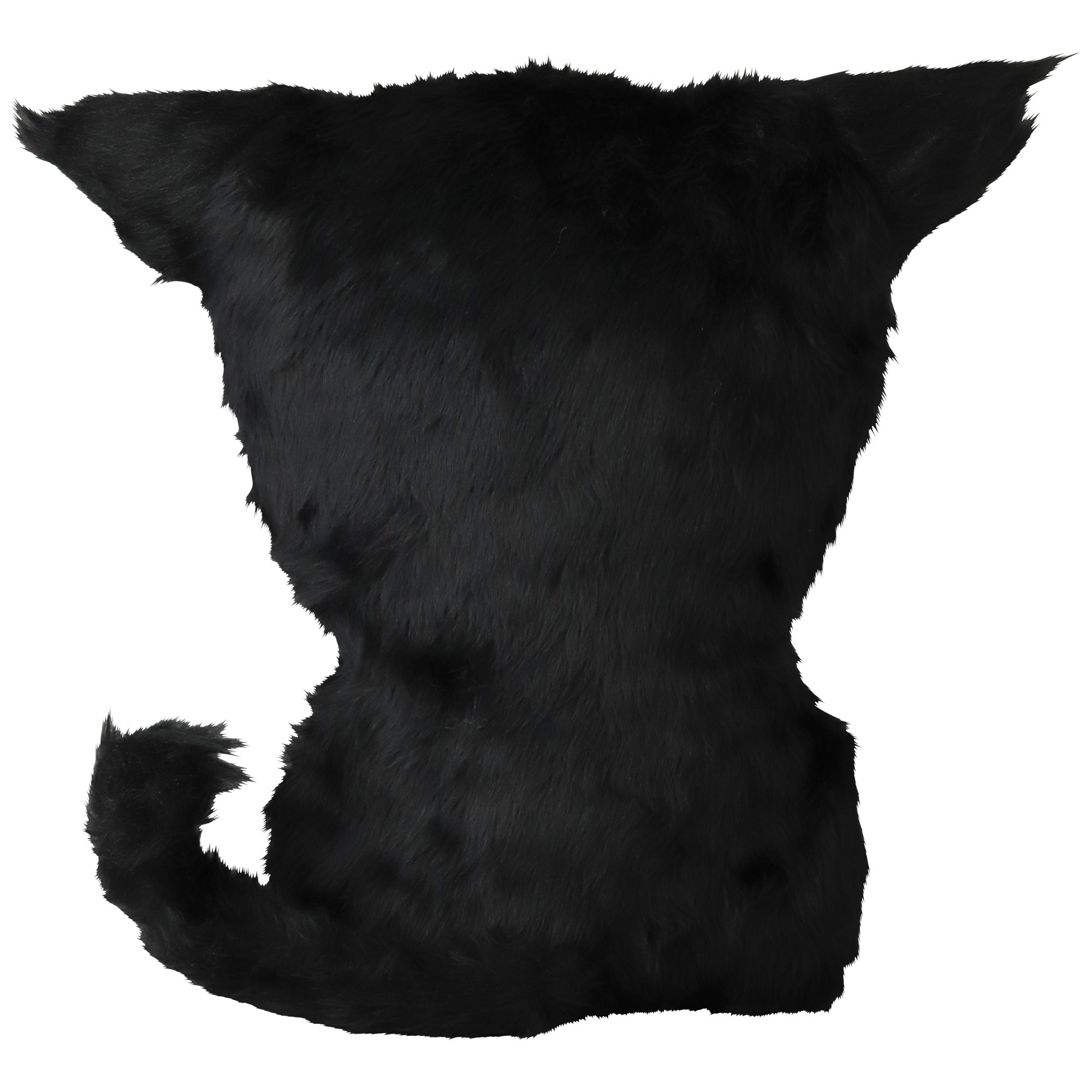 August Vilella "GIRIGIRI CAT" × SHELTERBANK《2026年11月発送予定 抽選期間は10月21日まで》