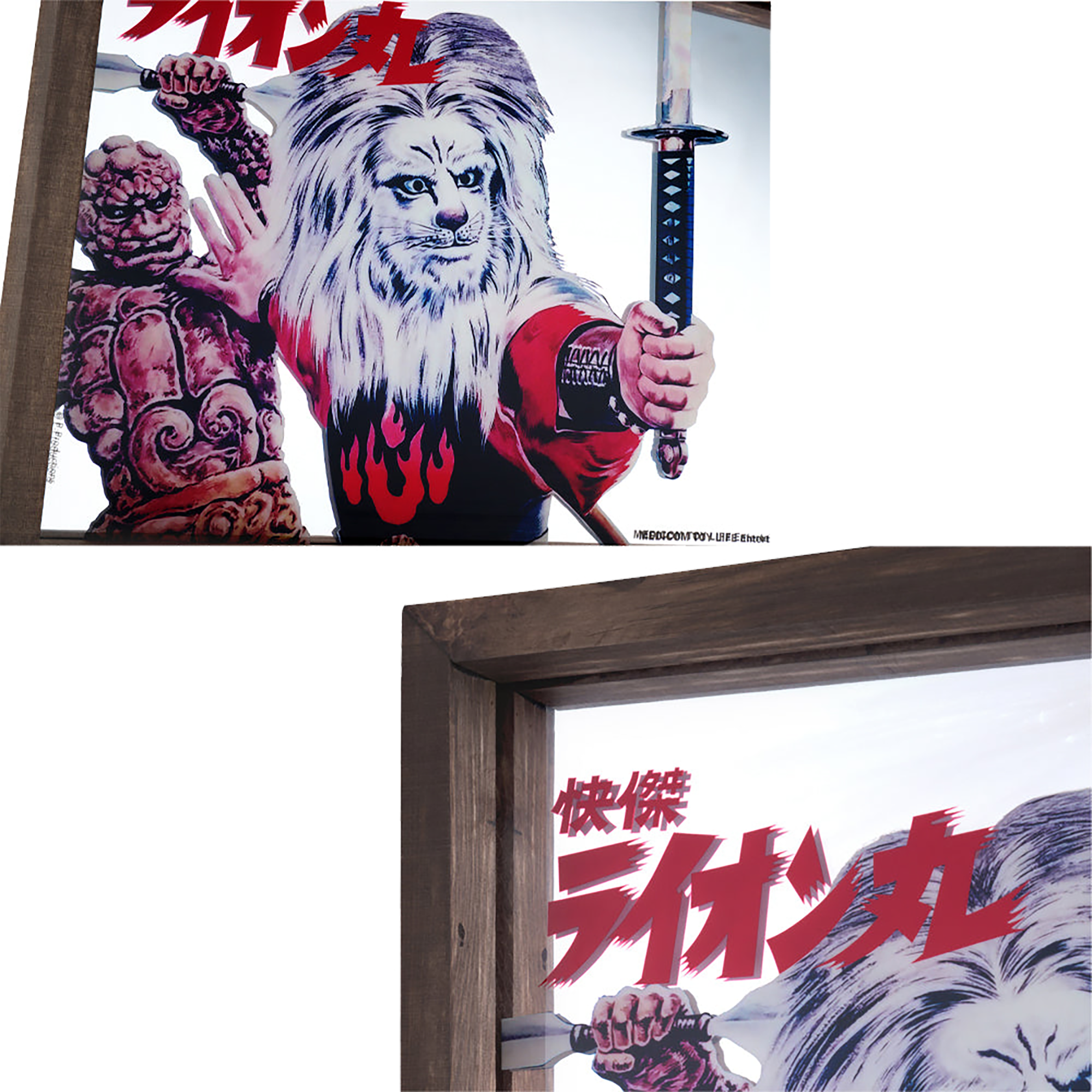 MLE Kaiketsu Lion Maru PUB MIRROR