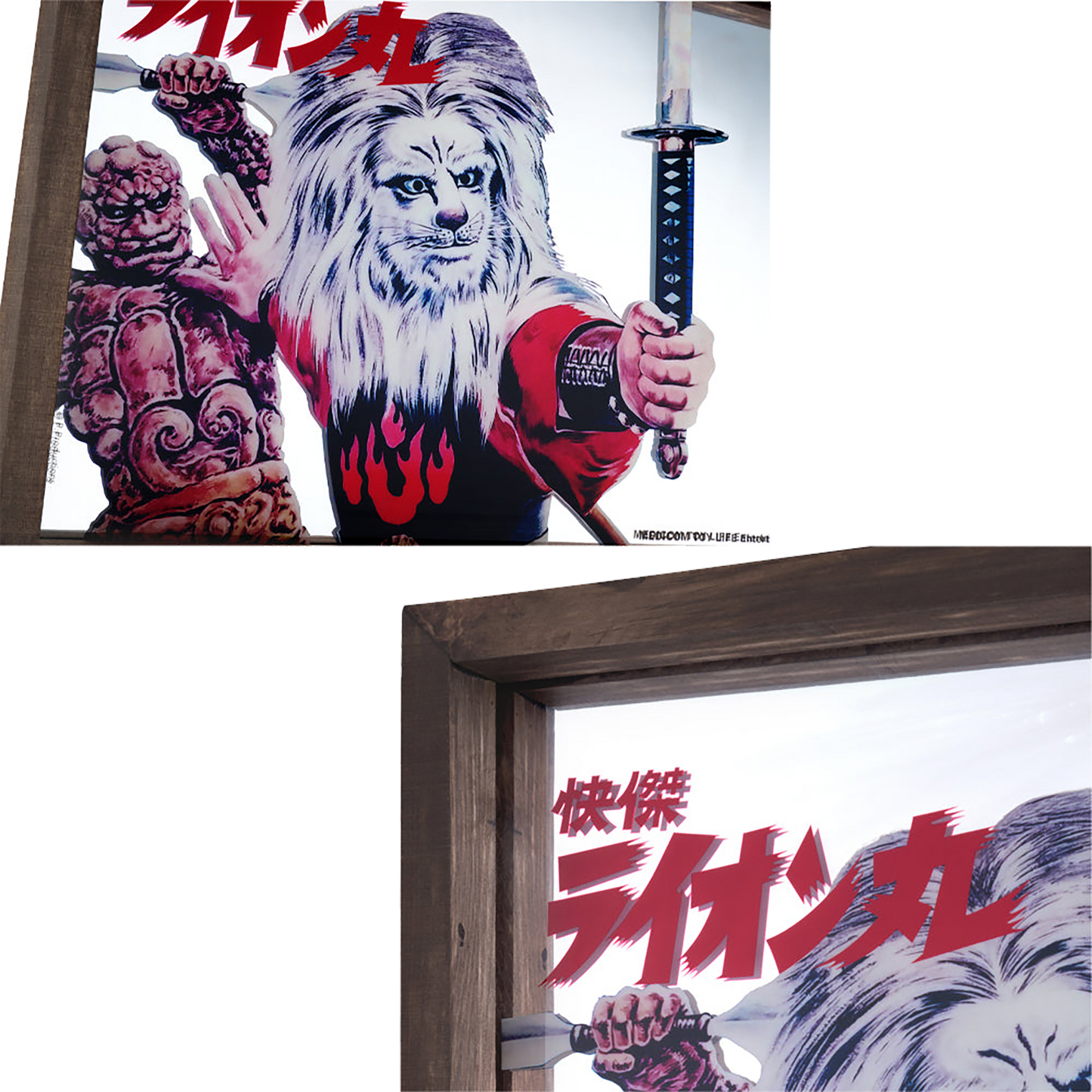MLE Kaiketsu Lion Maru PUB MIRROR