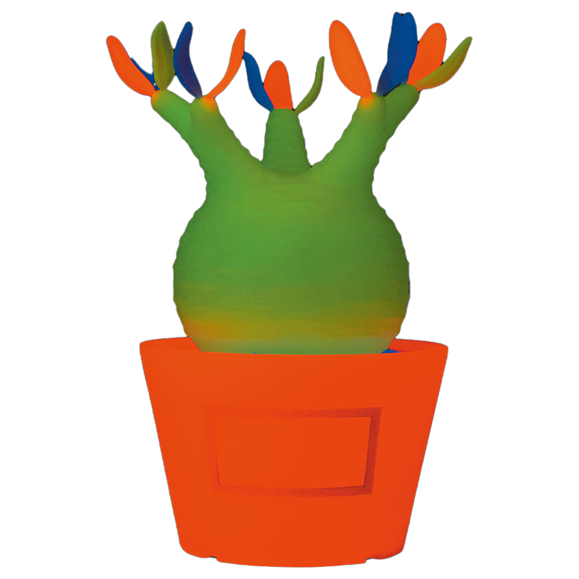 VCD Pachypodium Gracilius Var. MEDICOM TOY