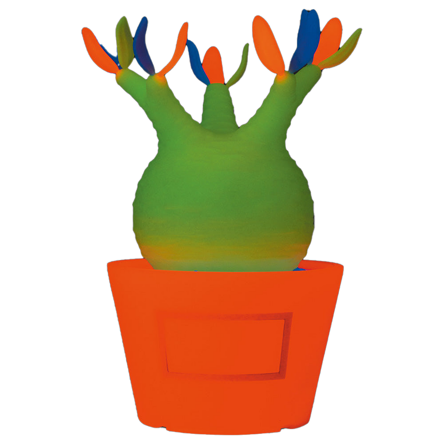VCD Pachypodium Gracilius Var. MEDICOM TOY