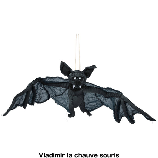 #042 Anne Valerie Dupond Vladimir la chauve souris