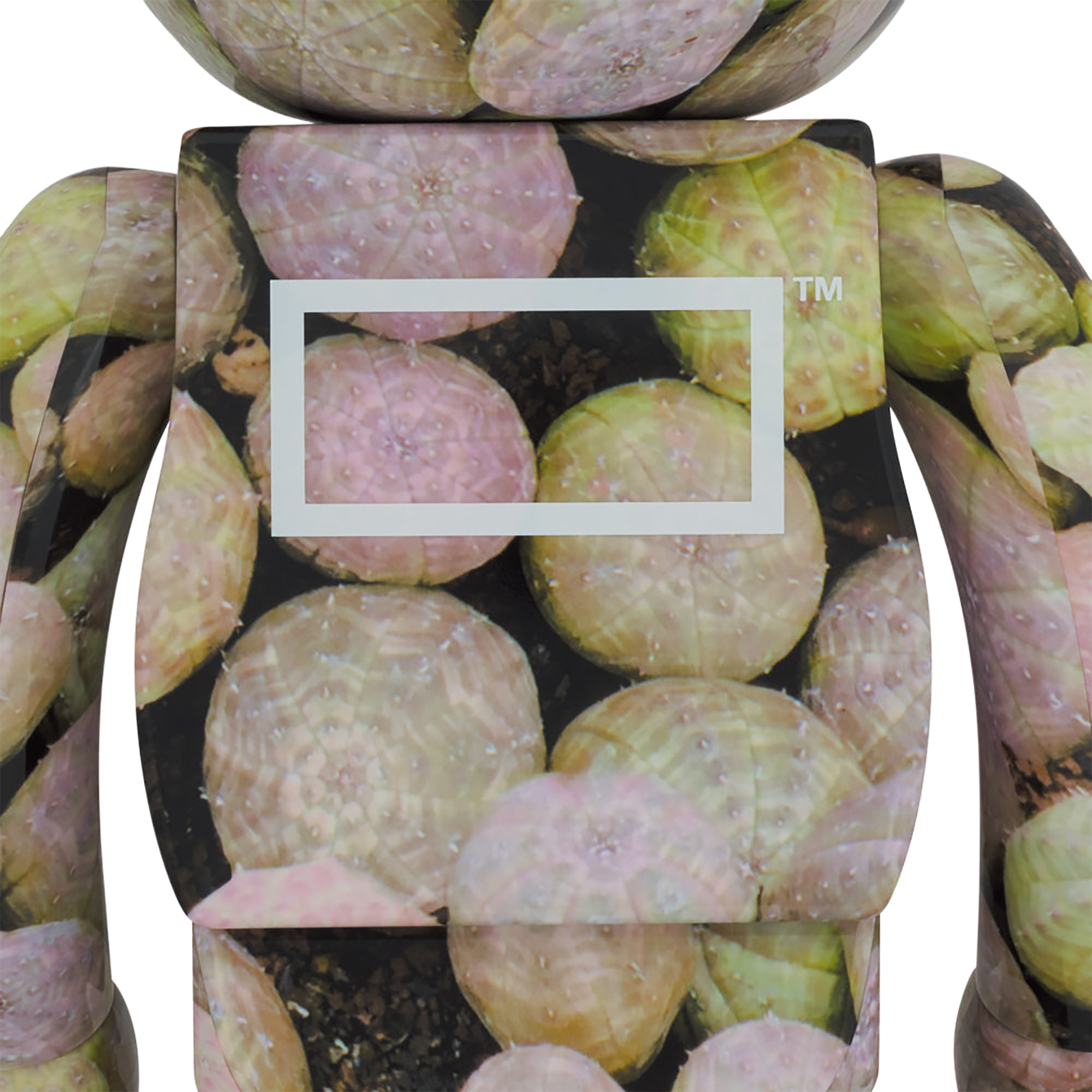 BE@RBRICK 植物 1000%