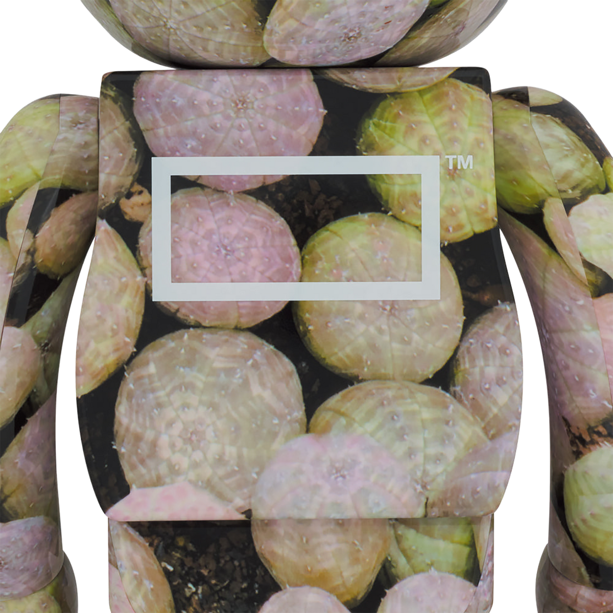 BE@RBRICK 植物 1000%