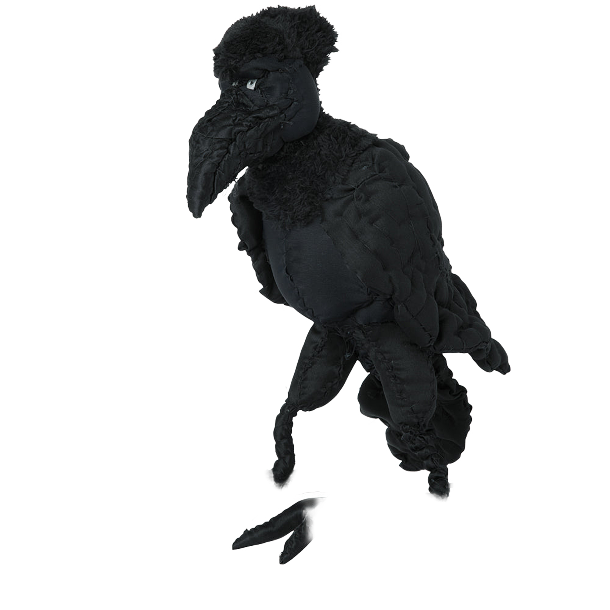 #062 Anne Valerie Dupond Arto le corbeau