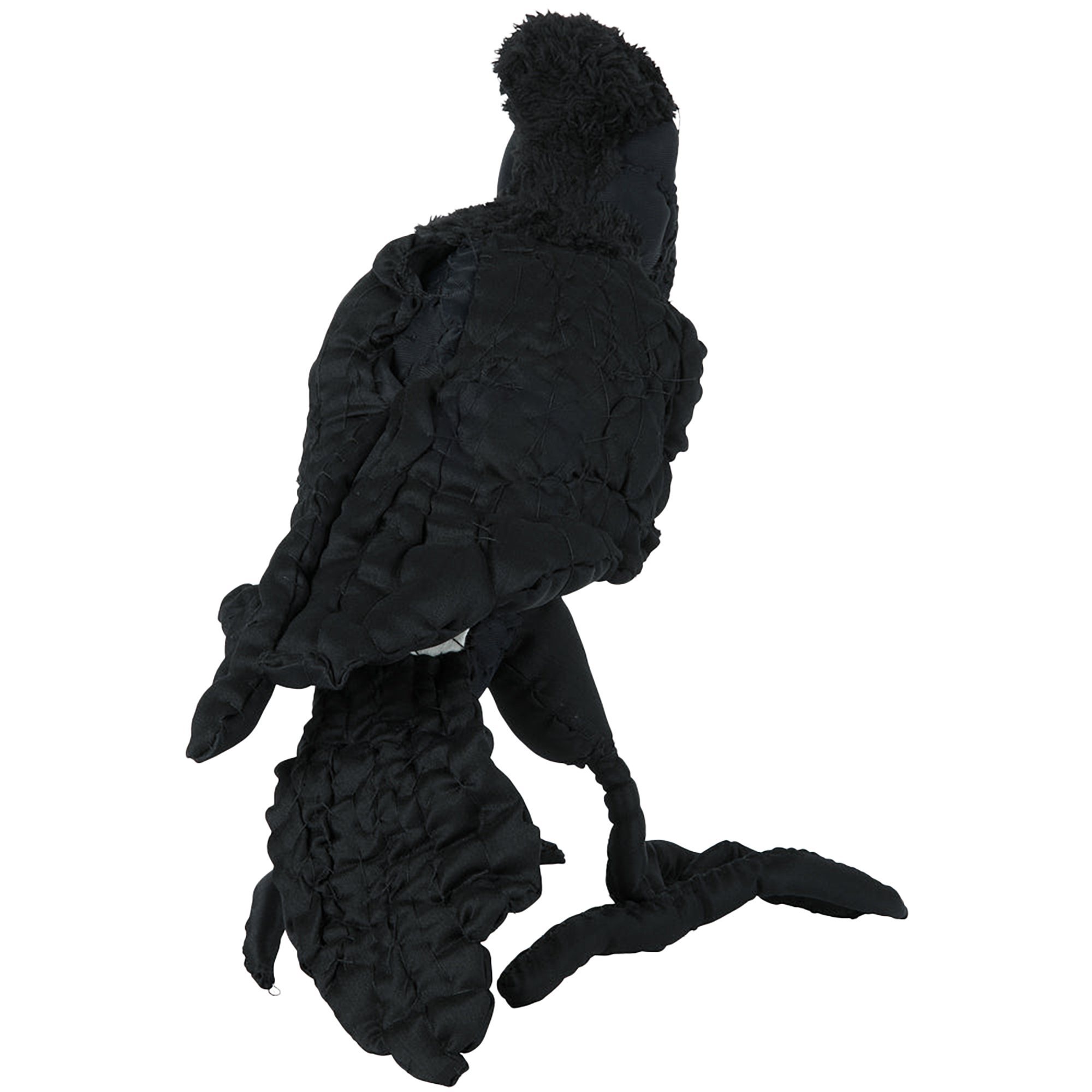 #062 Anne Valerie Dupond Arto le corbeau