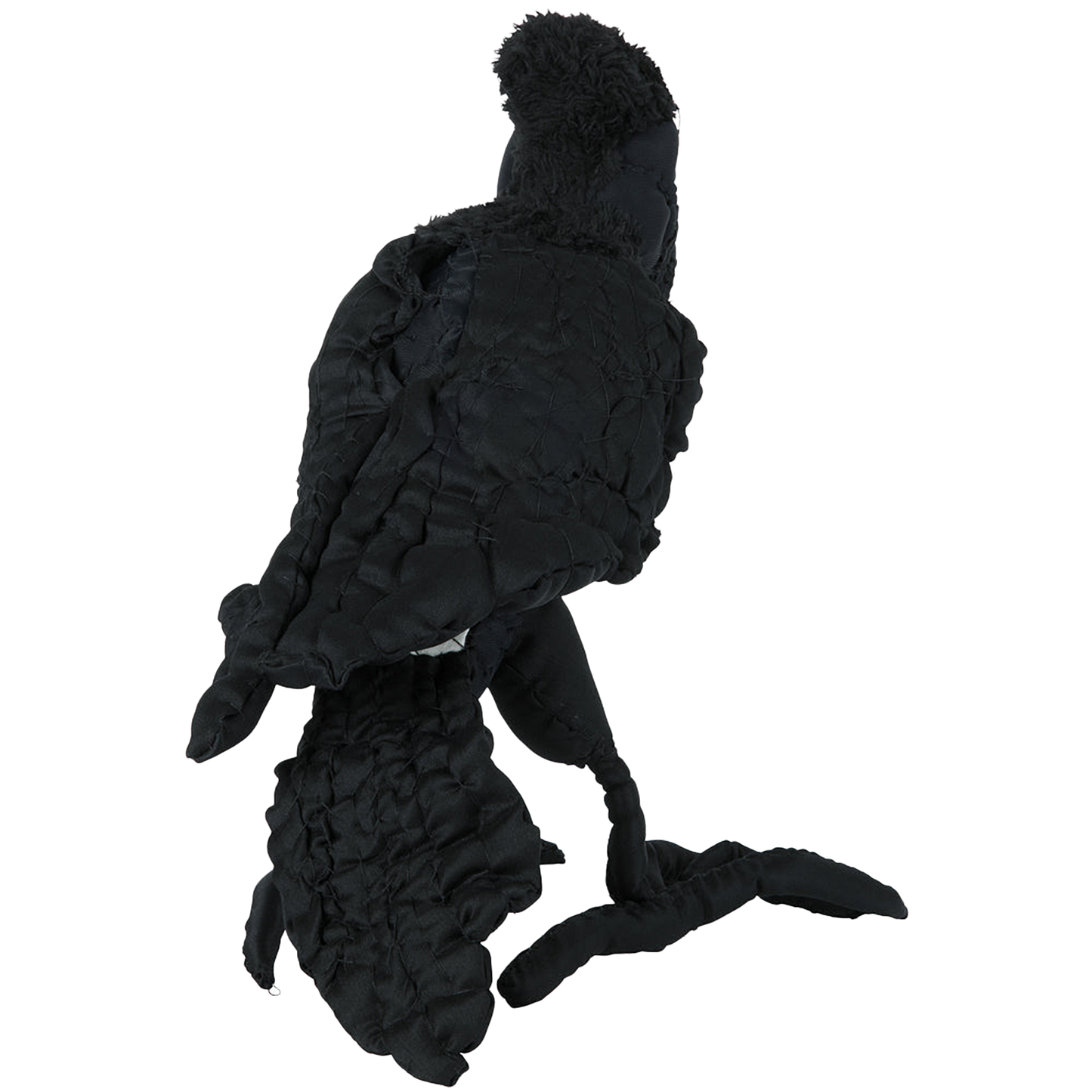 #062 Anne Valerie Dupond Arto le corbeau