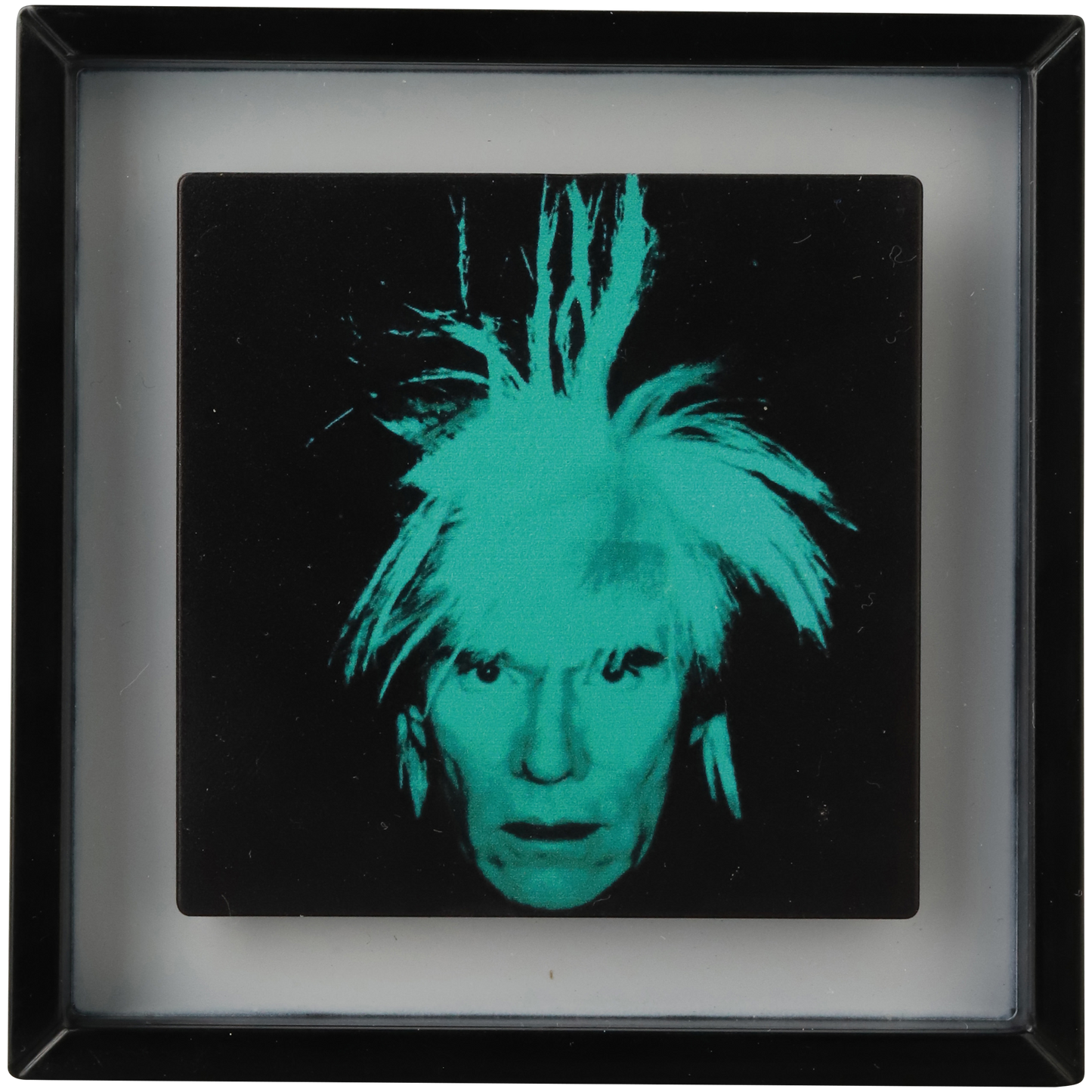 VCD ANDY WARHOL by ERIC SO