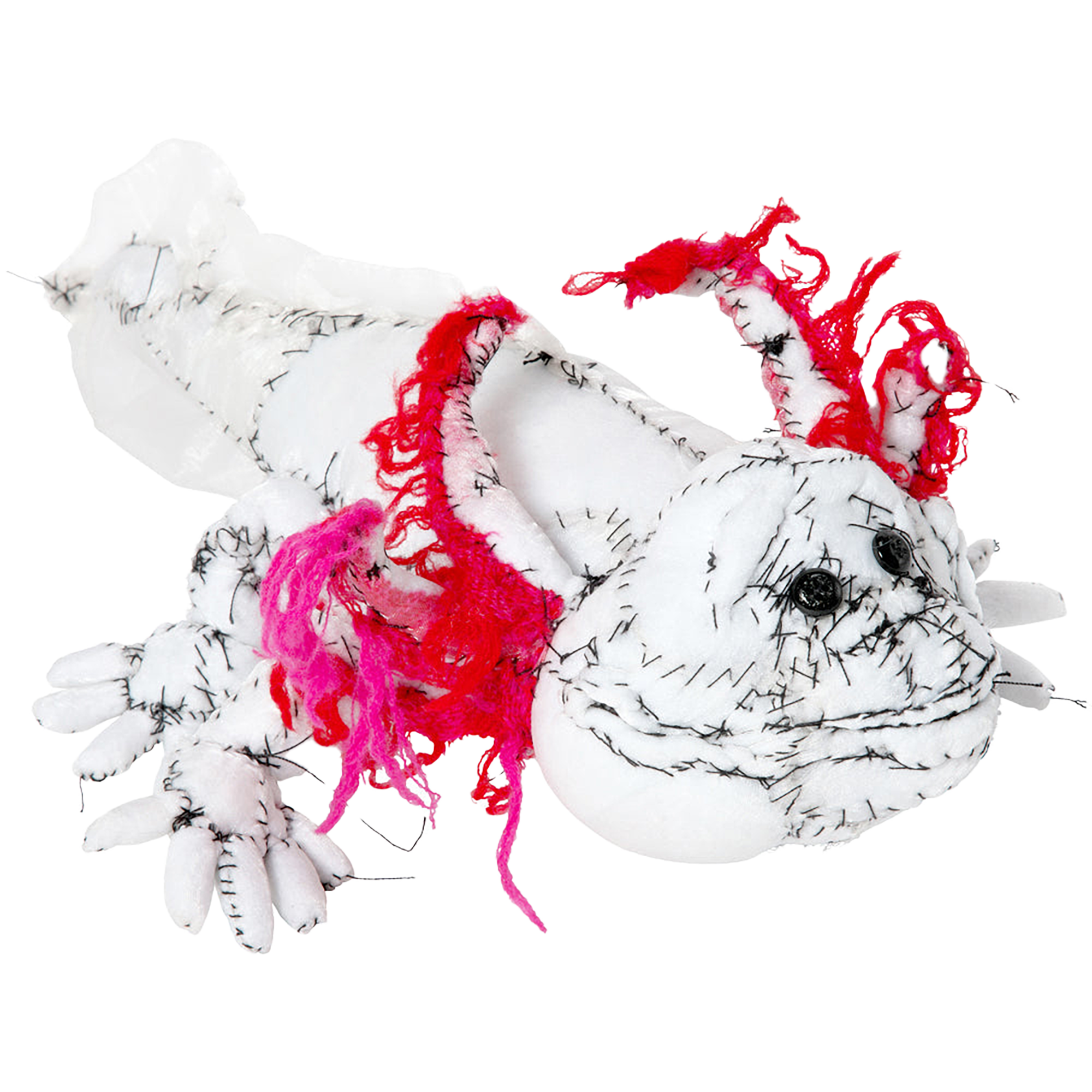 #031 Anne Valerie Dupond Lolotte l’axolotl