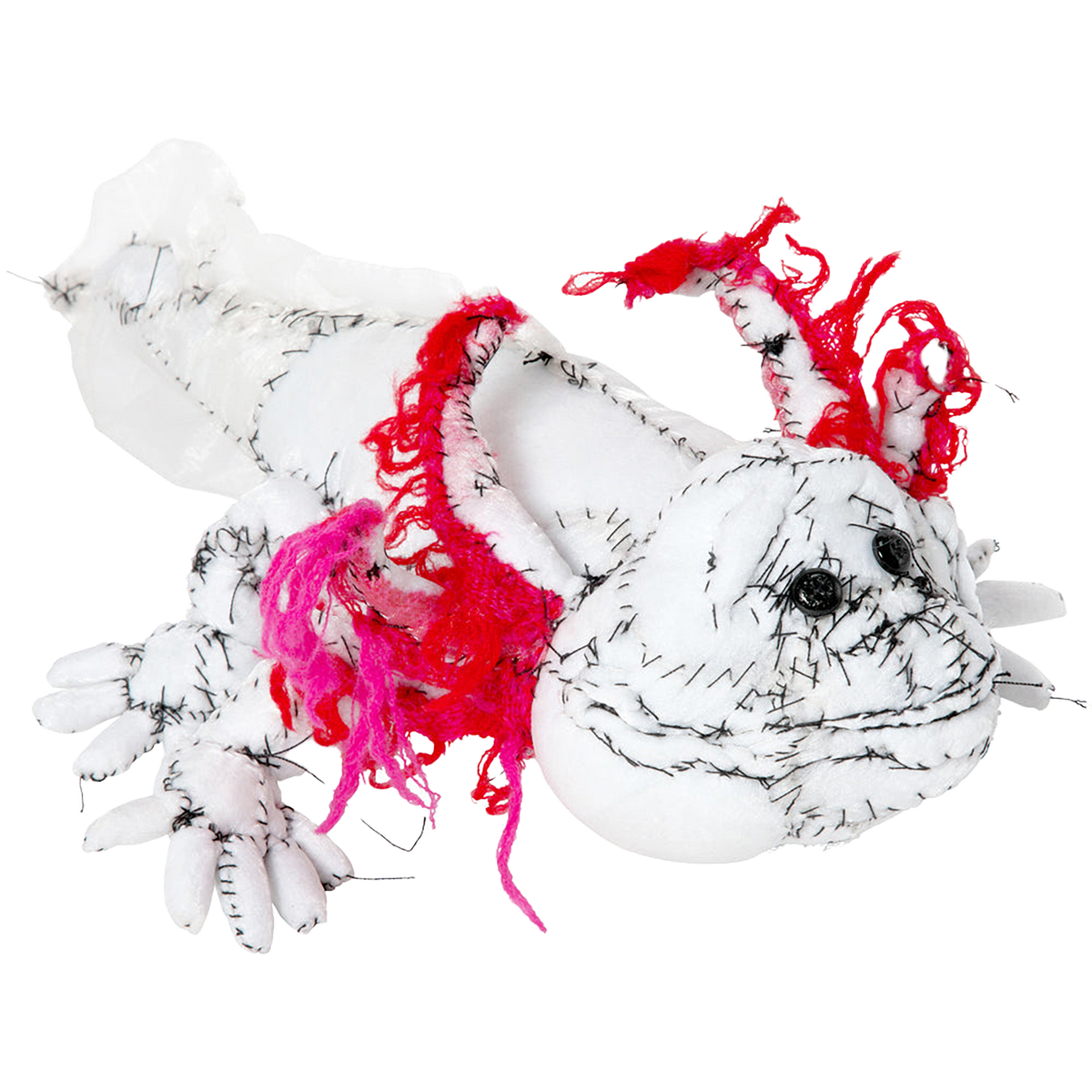 #031 Anne Valerie Dupond Lolotte l’axolotl
