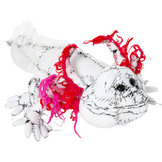 #031 Anne Valerie Dupond Lolotte l’axolotl