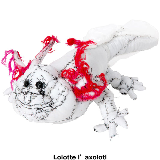 #031 Anne Valerie Dupond Lolotte l’axolotl