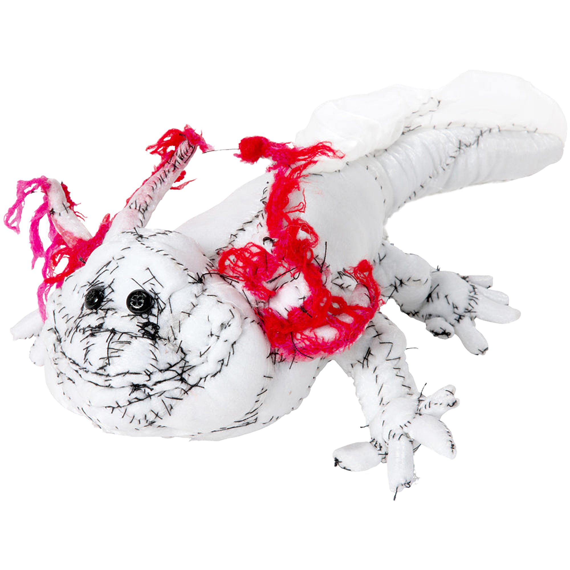 #031 Anne Valerie Dupond Lolotte l’axolotl