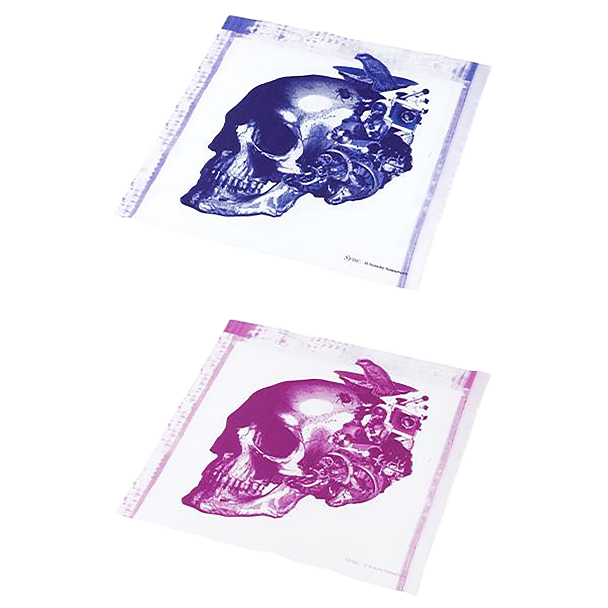 KOSUKE KAWAMURA BANDANA "SKULL"