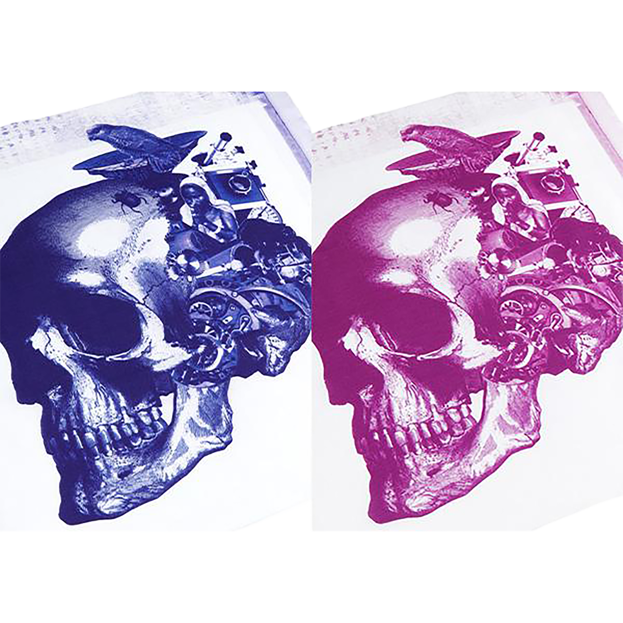 KOSUKE KAWAMURA BANDANA "SKULL"