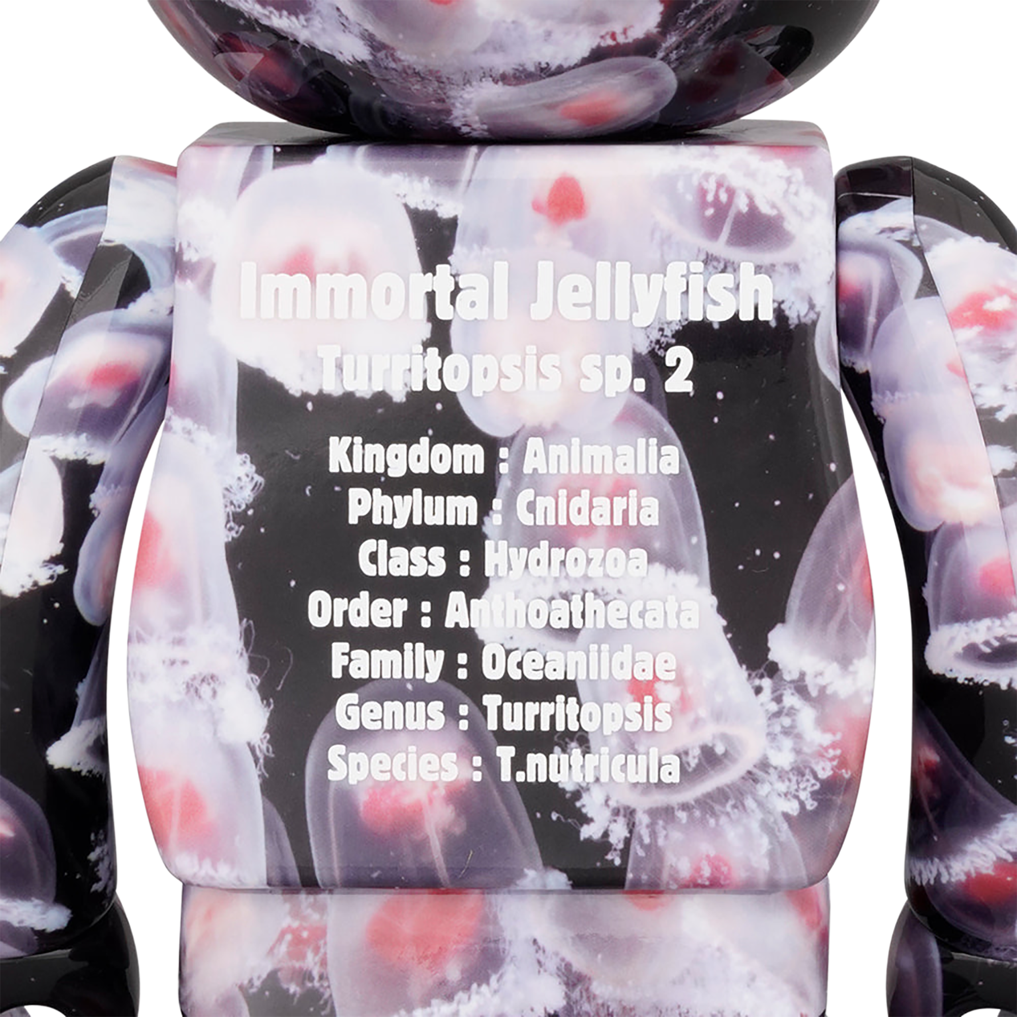 BE@RBRICK 水母 “水母” 100% 和 400%