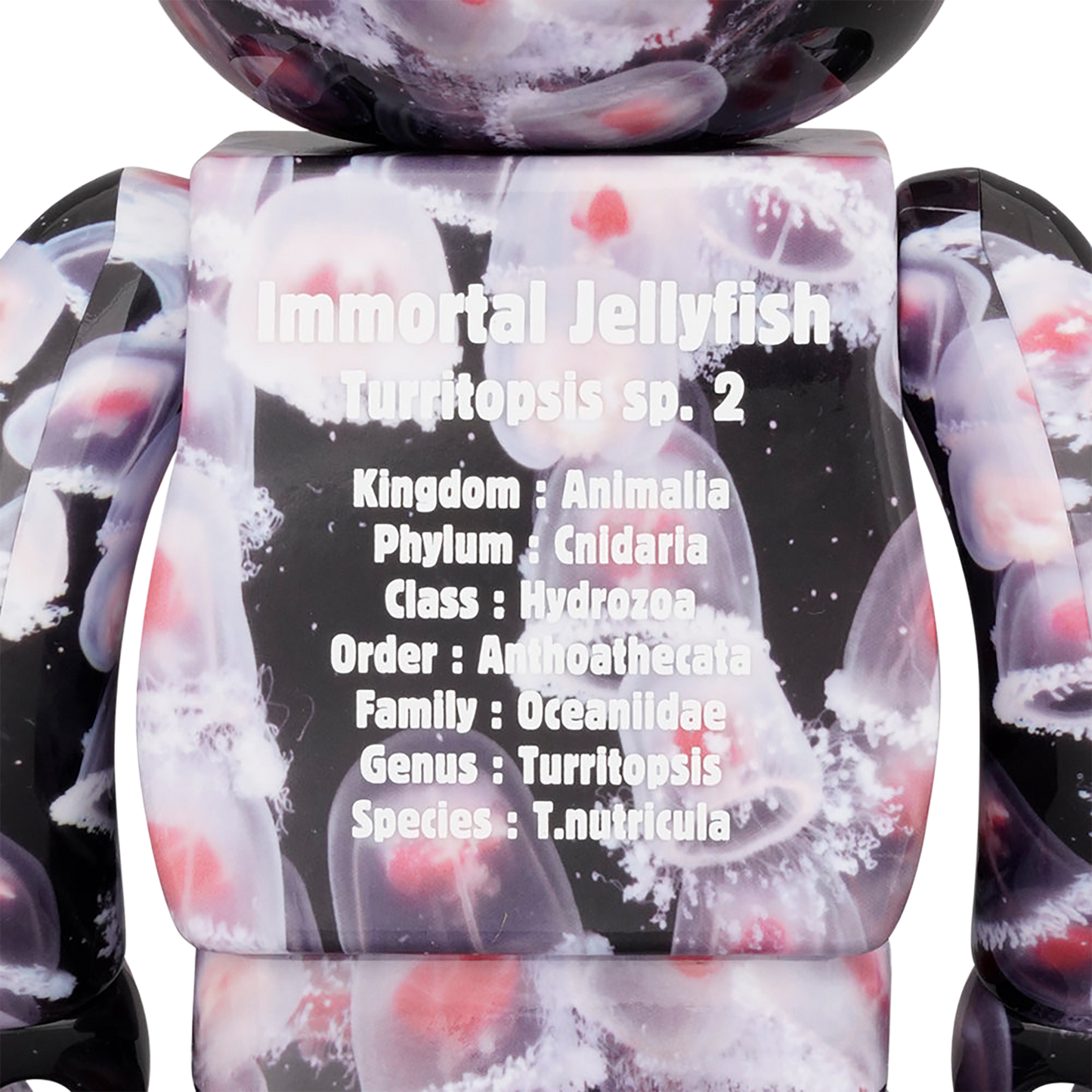 BE@RBRICK 水母 “水母” 100% 和 400%