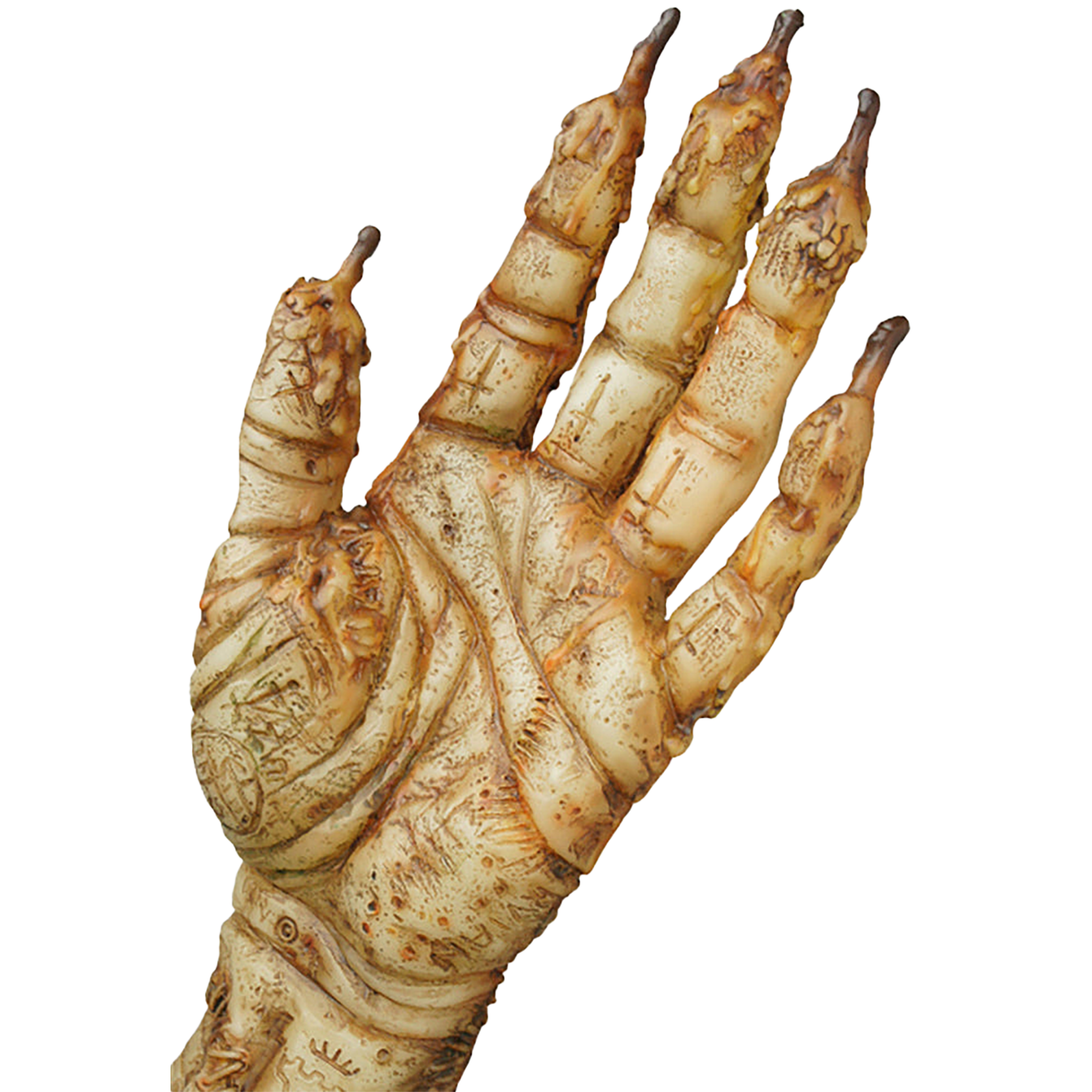 HAND OF GLORY（青蓄光版）