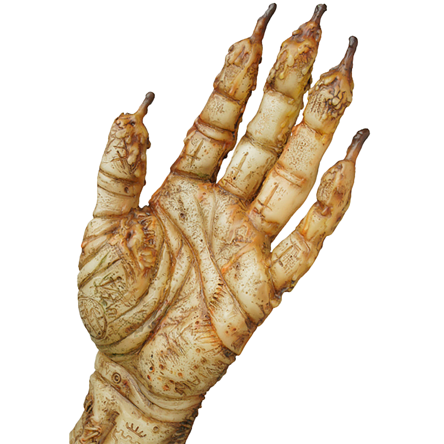 HAND OF GLORY（青蓄光版）