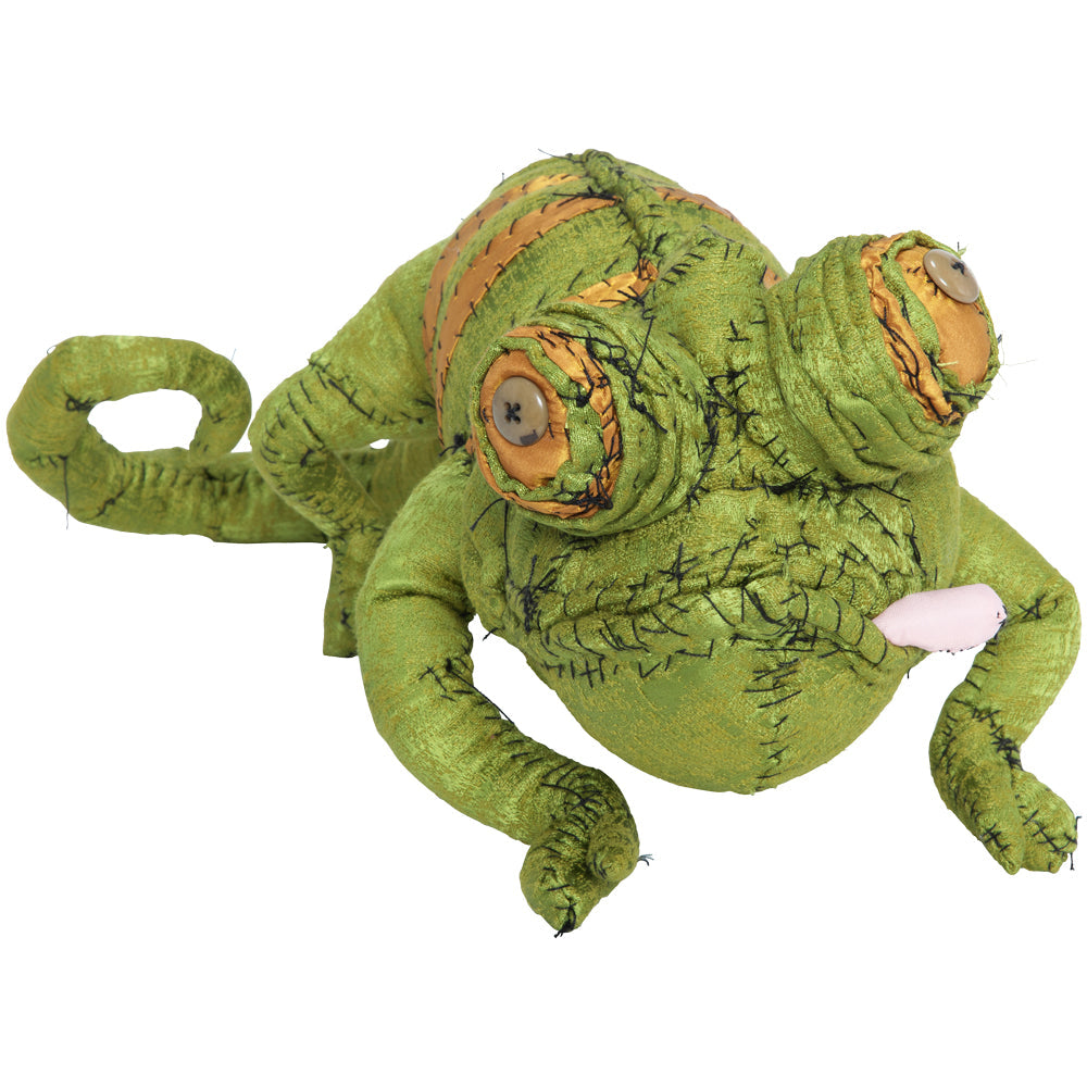 #029 Anne Valerie Dupond Leon le cameleon