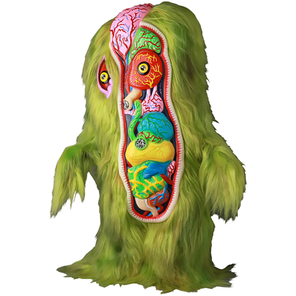 SHELTERBANK ヘドラ 完全解剖図解(2期)_0
