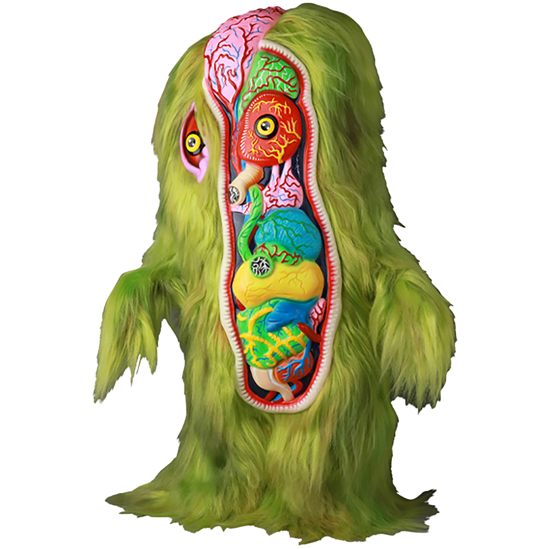 メディコムトイ　解剖図解ヘドラ　クリアグリーン SHELTERBANK ヘドラ 完全解剖図解(2期) | MEDICOM TOY OFFICIAL STORE