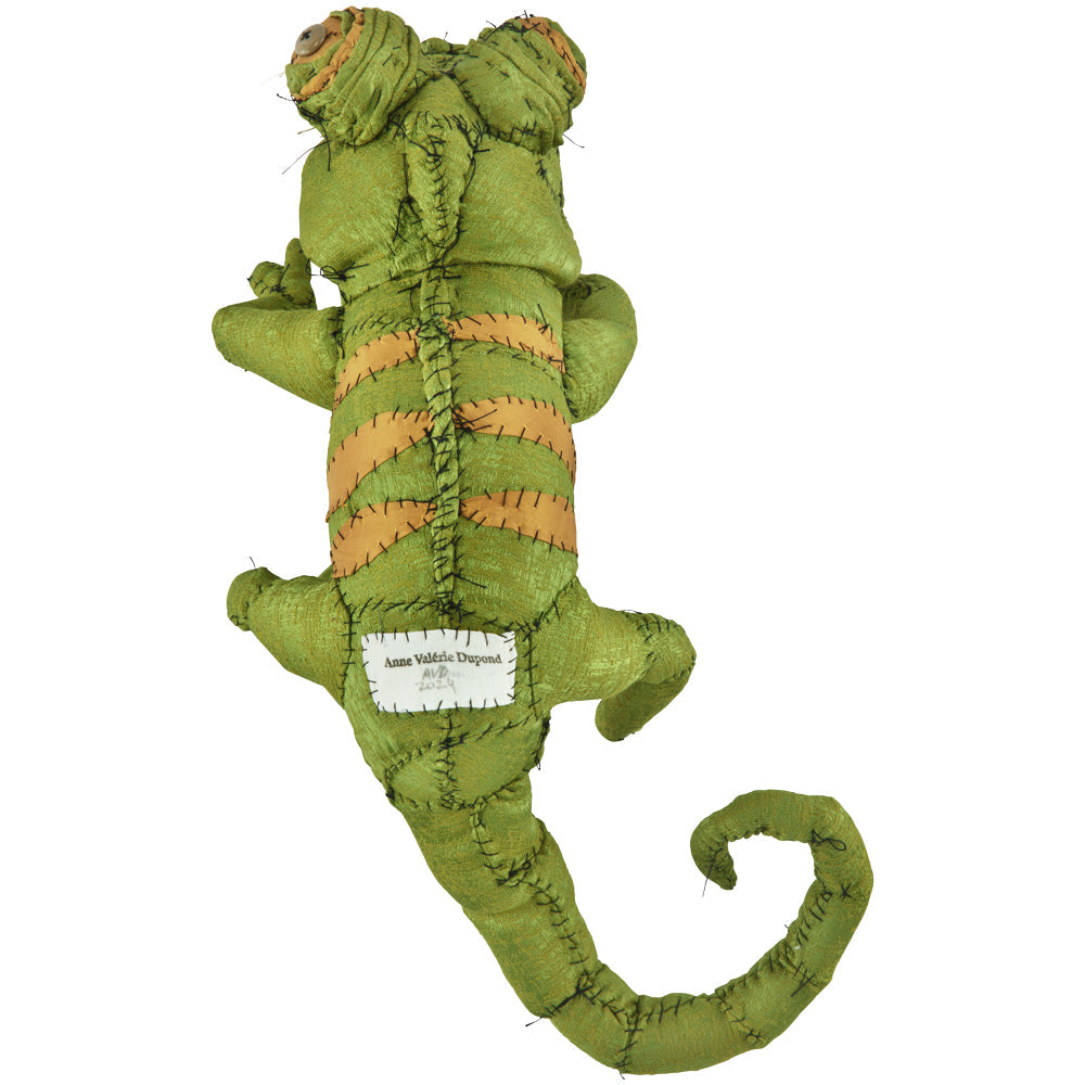 #029 Anne Valerie Dupond Leon le cameleon