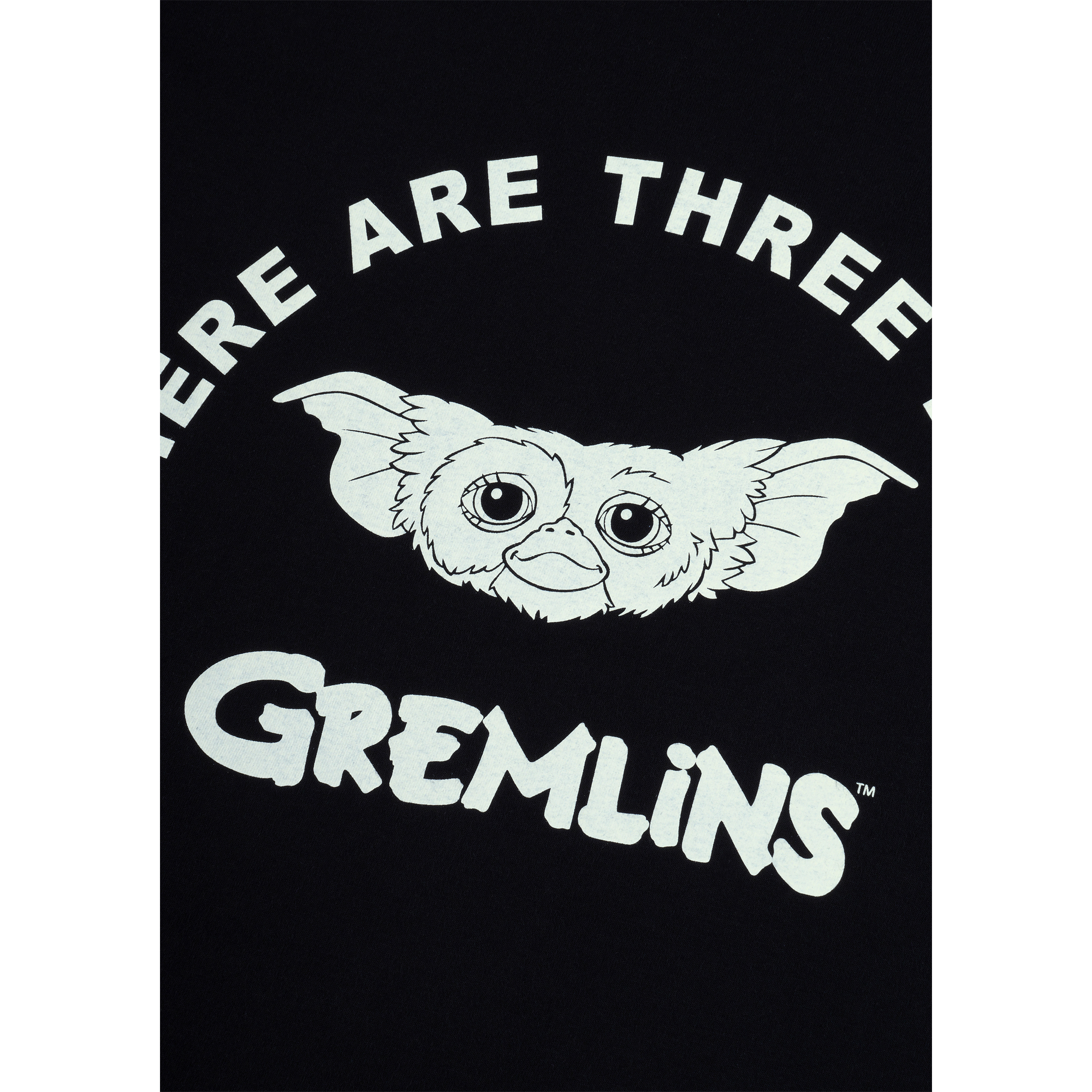 MLE GREMLINS THERE ARE THREE RULES T-SHIRT《2026年6月発売予定 受注期間は6月7日まで》_1
