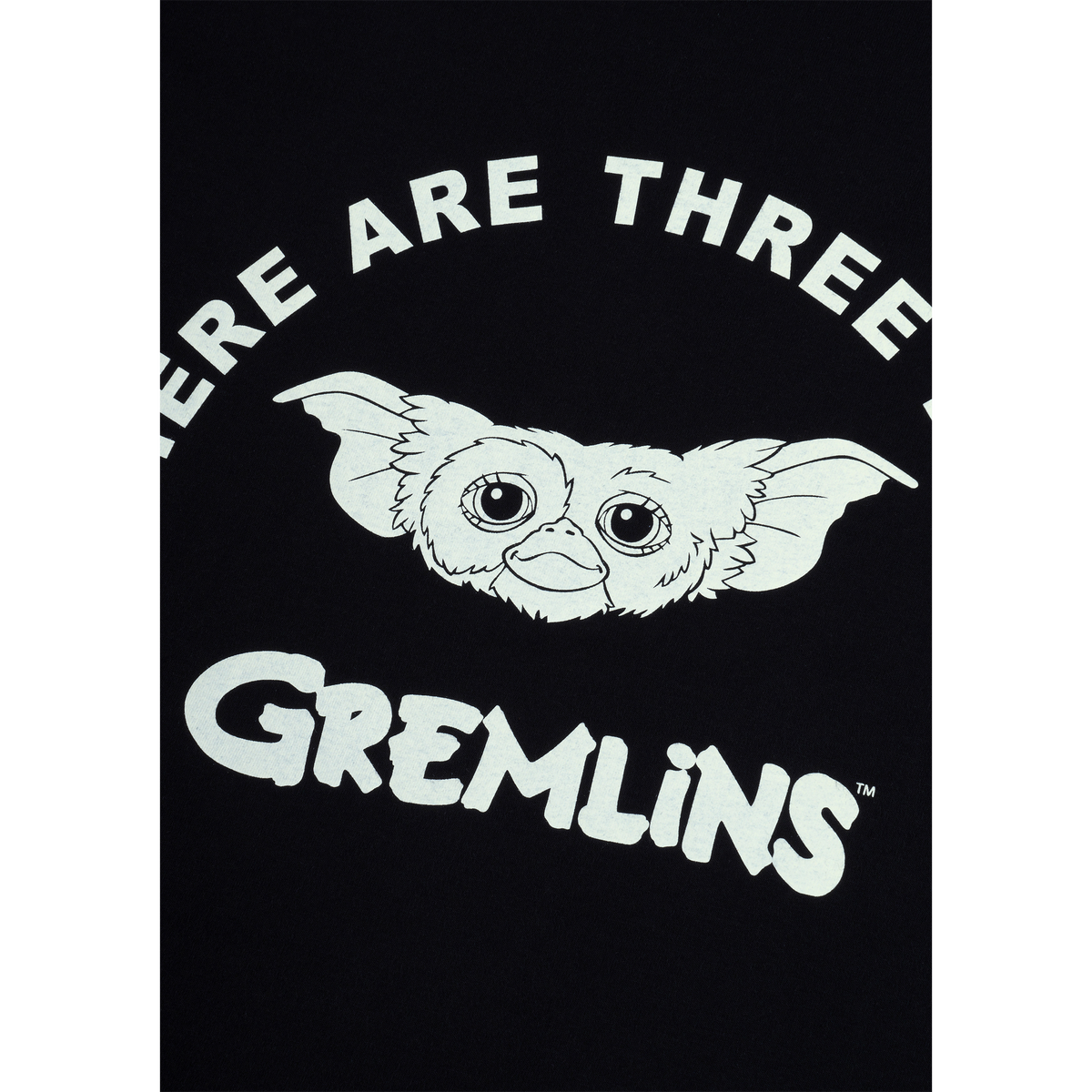 MLE GREMLINS THERE ARE THREE RULES T-SHIRT《2026年6月発売予定 受注期間は6月7日まで》_1