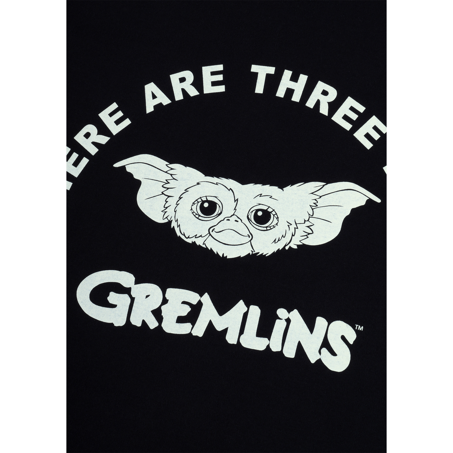 MLE GREMLINS THERE ARE THREE RULES T-SHIRT《2026年6月発売予定 受注期間は6月7日まで》_1