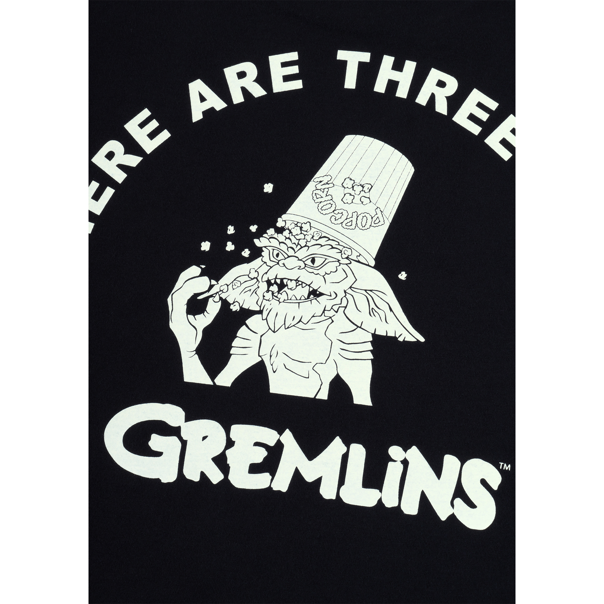 MLE GREMLINS THERE ARE THREE RULES T-SHIRT《2026年6月発売予定 受注期間は6月7日まで》_3