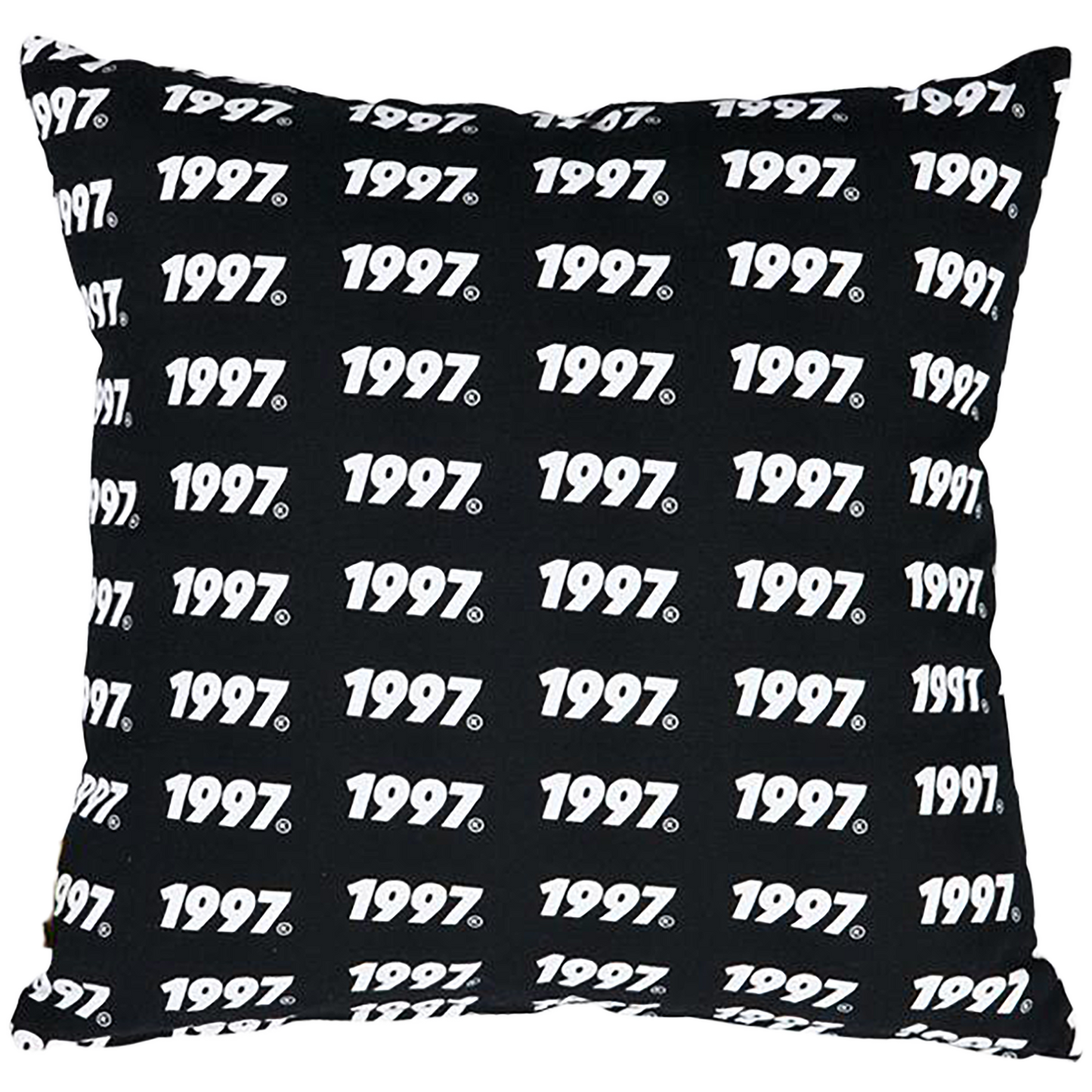 FABRICK X YOUTH LOSER SQUARE CUSHION COVER＋PILLOW