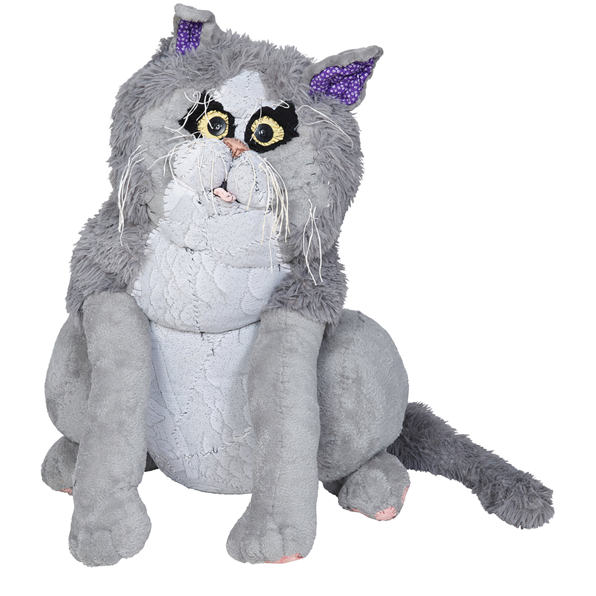 #050 Anne Valerie Dupond Pompon le tres gros chat