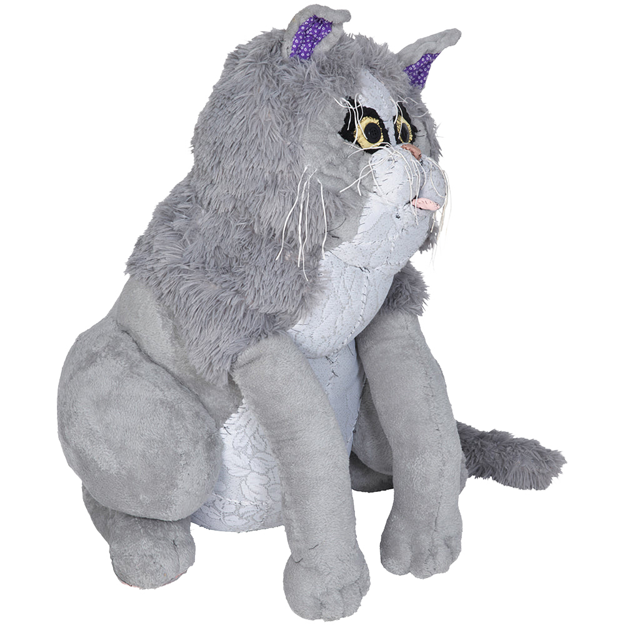 #050 Anne Valerie Dupond Pompon le tres gros chat