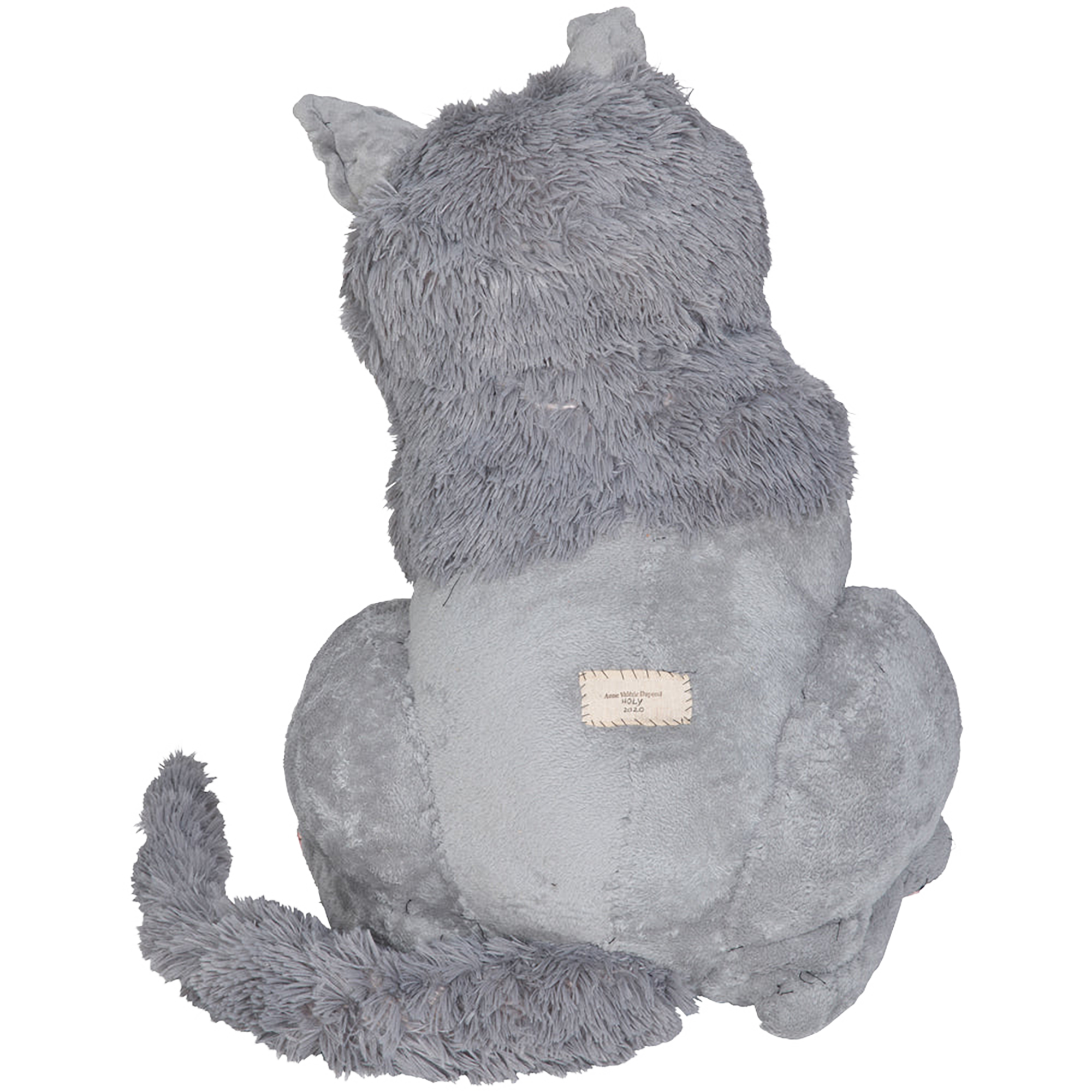 #050 Anne Valerie Dupond Pompon le tres gros chat