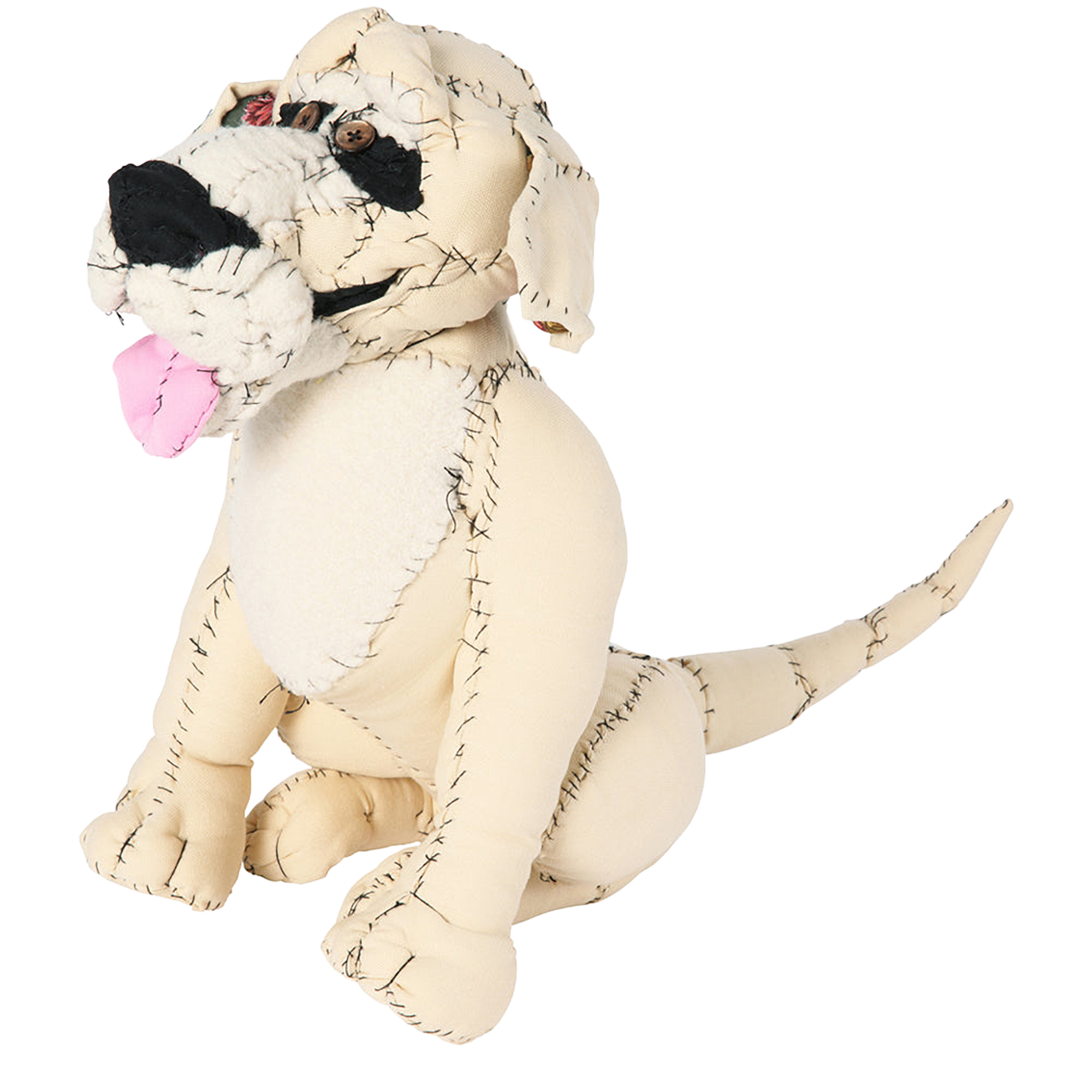 #056 Anne Valerie Dupond Oliver le Golden retriever