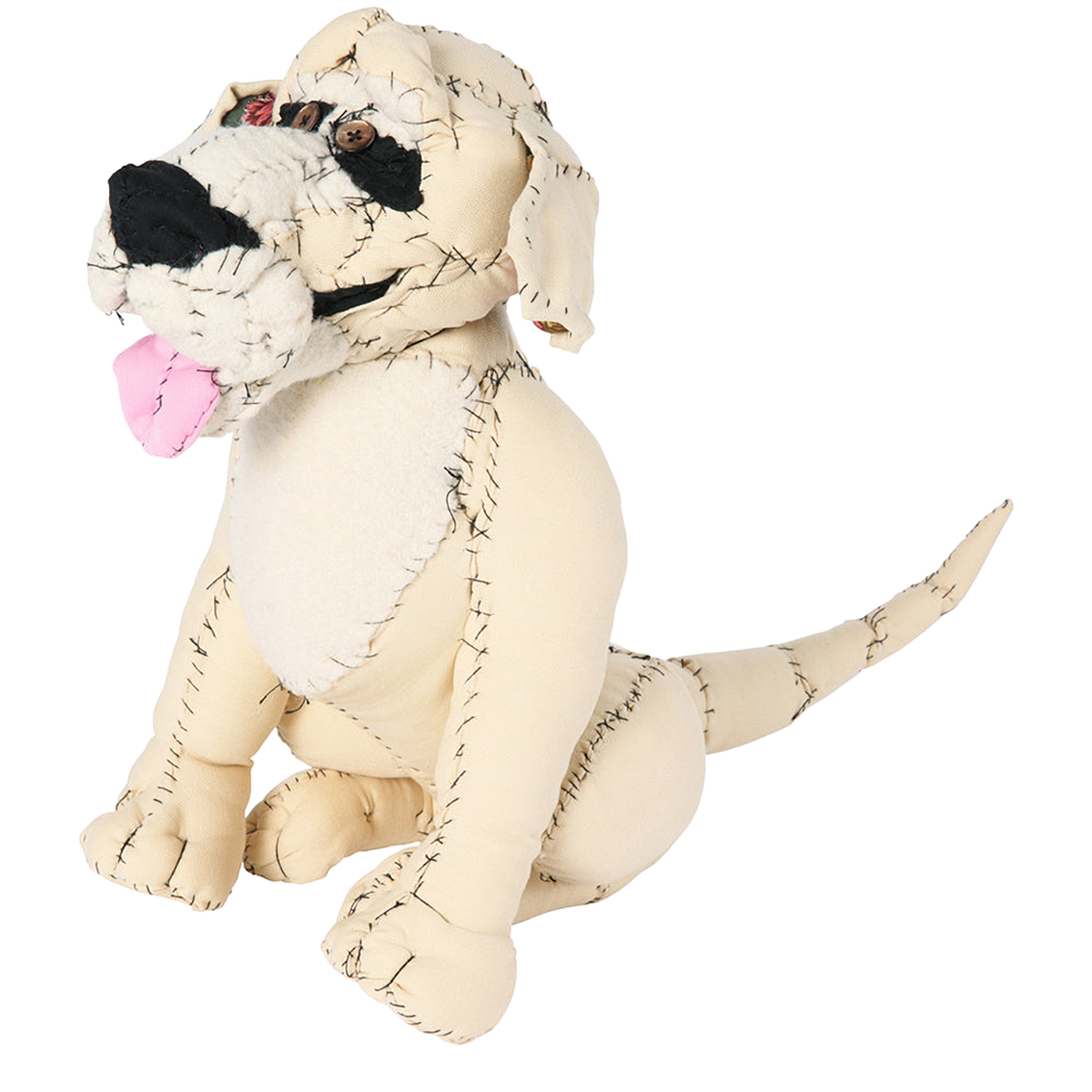 #056 Anne Valerie Dupond Oliver le Golden retriever
