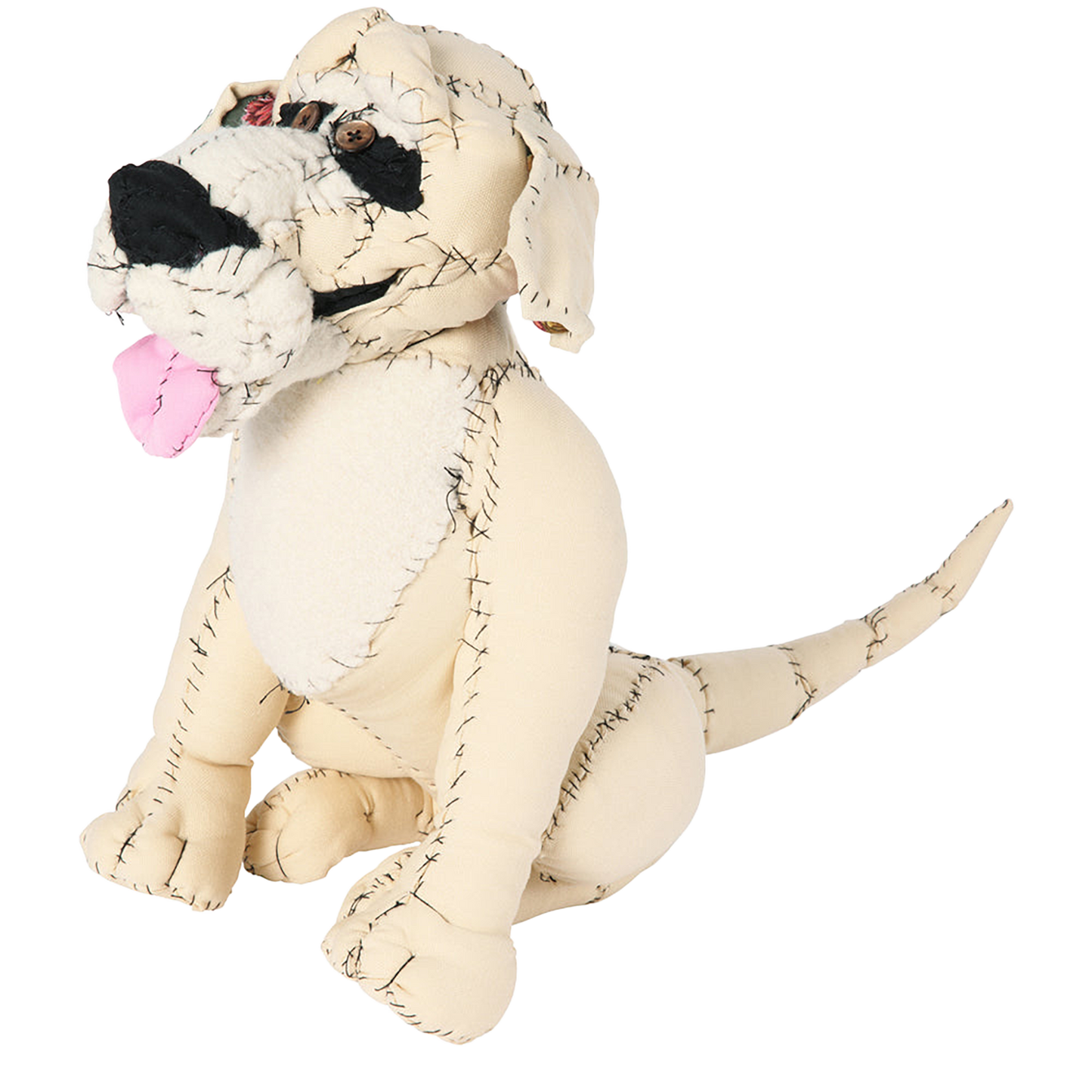 #056 Anne Valerie Dupond Oliver le Golden retriever