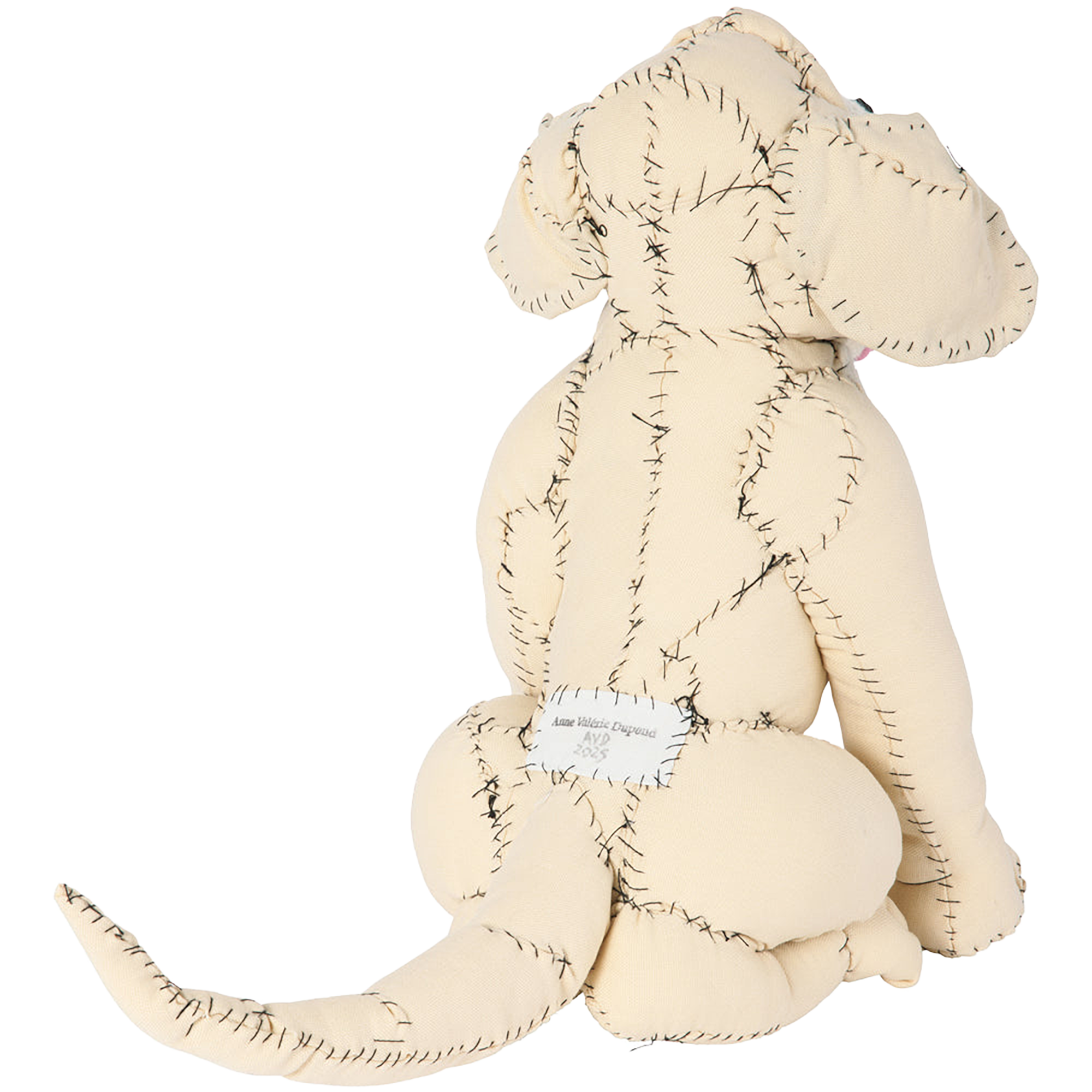 #056 Anne Valerie Dupond Oliver le Golden retriever